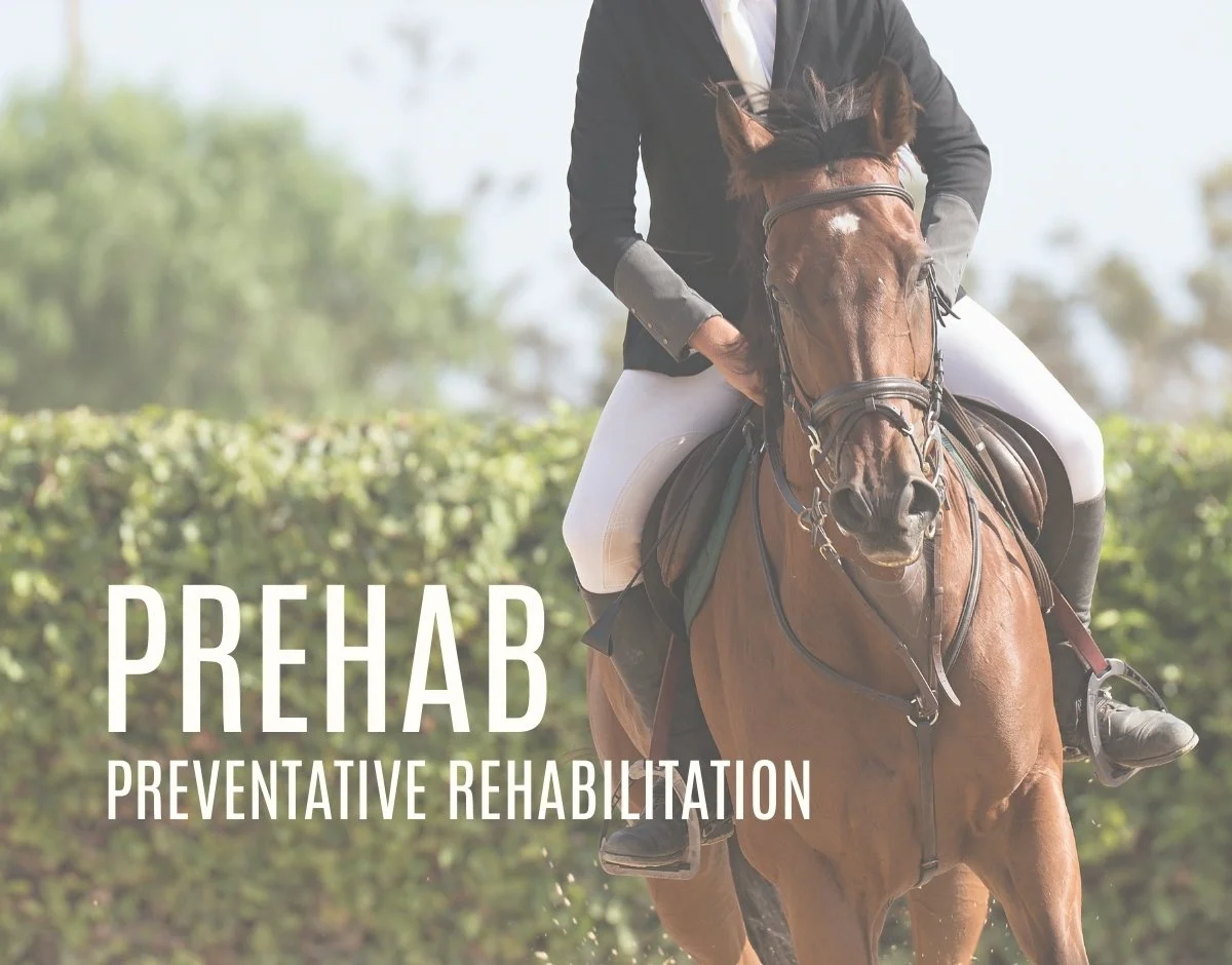 Prehab vs. Rehab