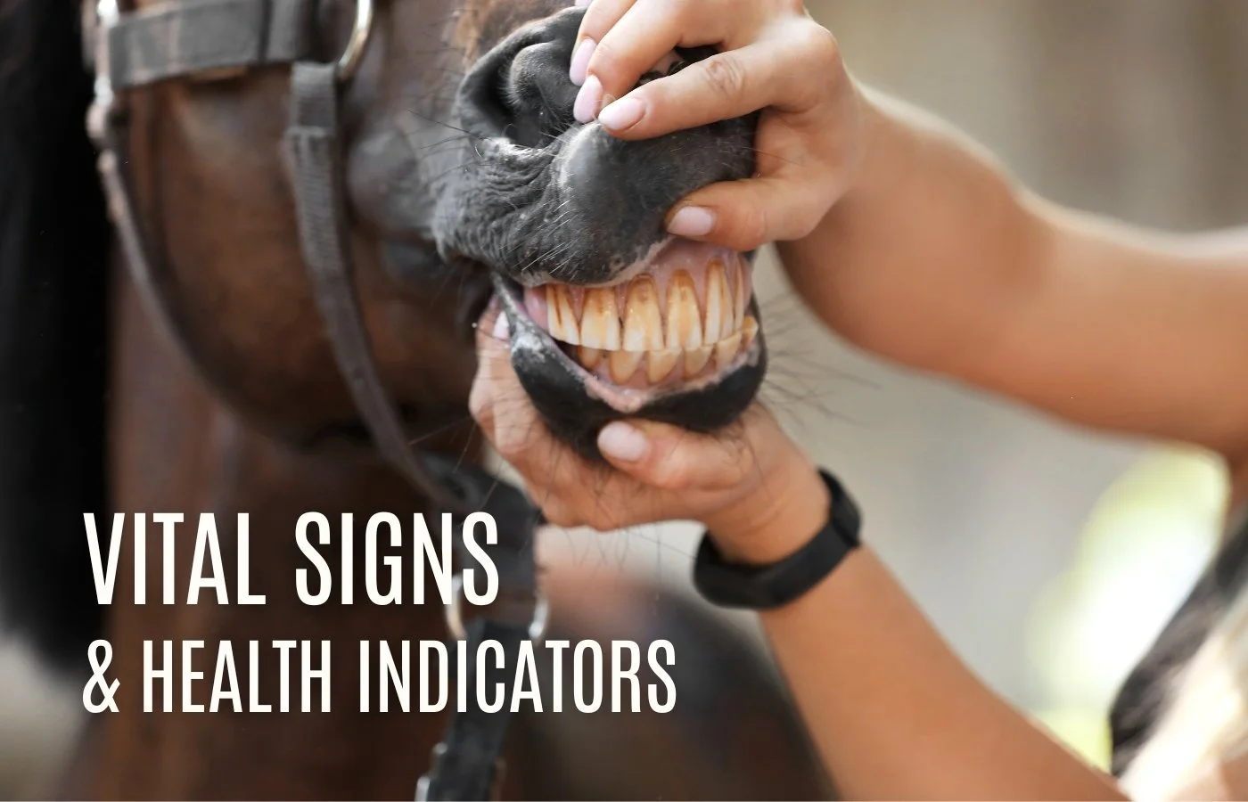 Health Indicators