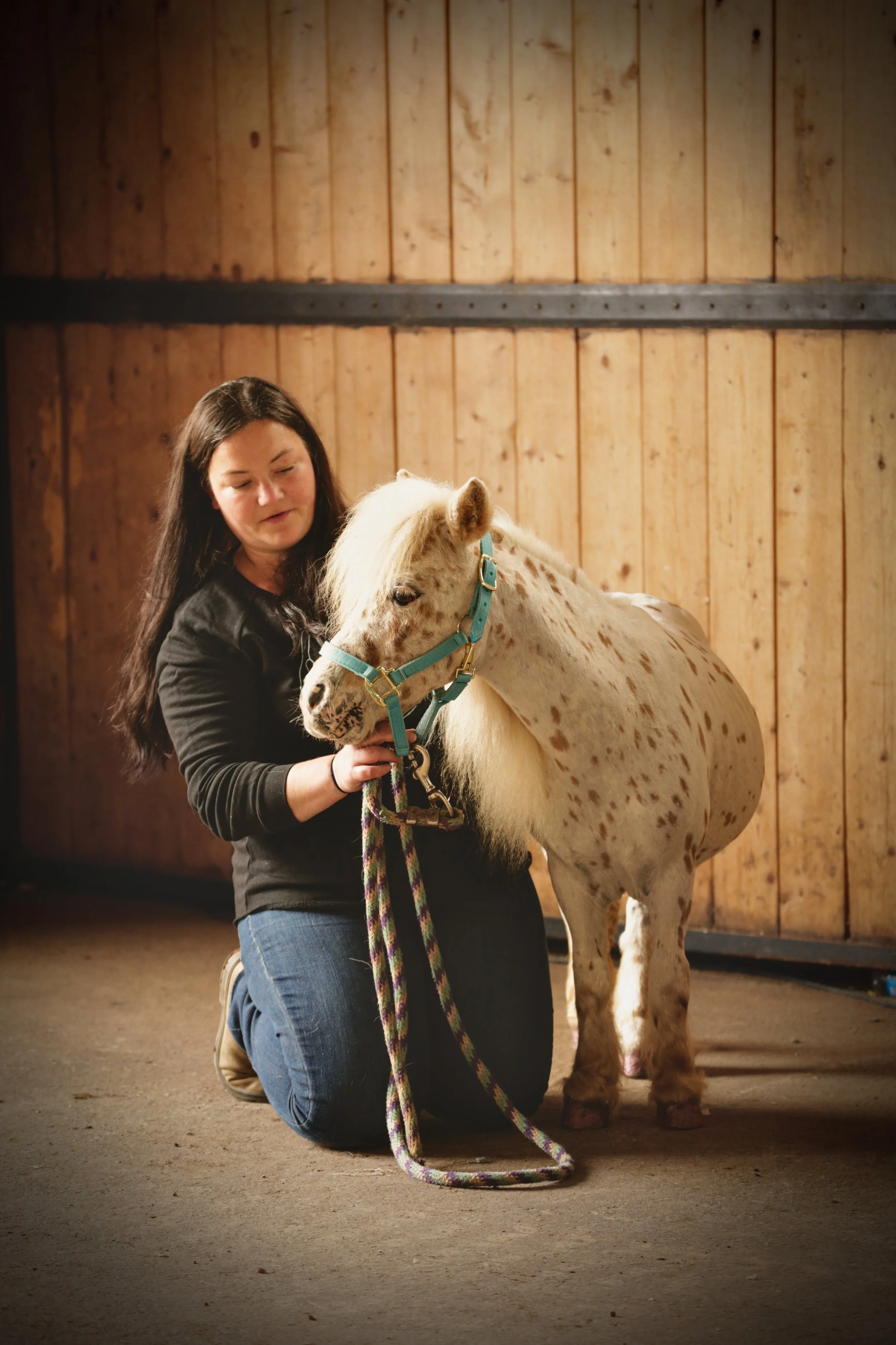 Lateral Cervical Flexion - Masterson Method - MQHA Equine Review