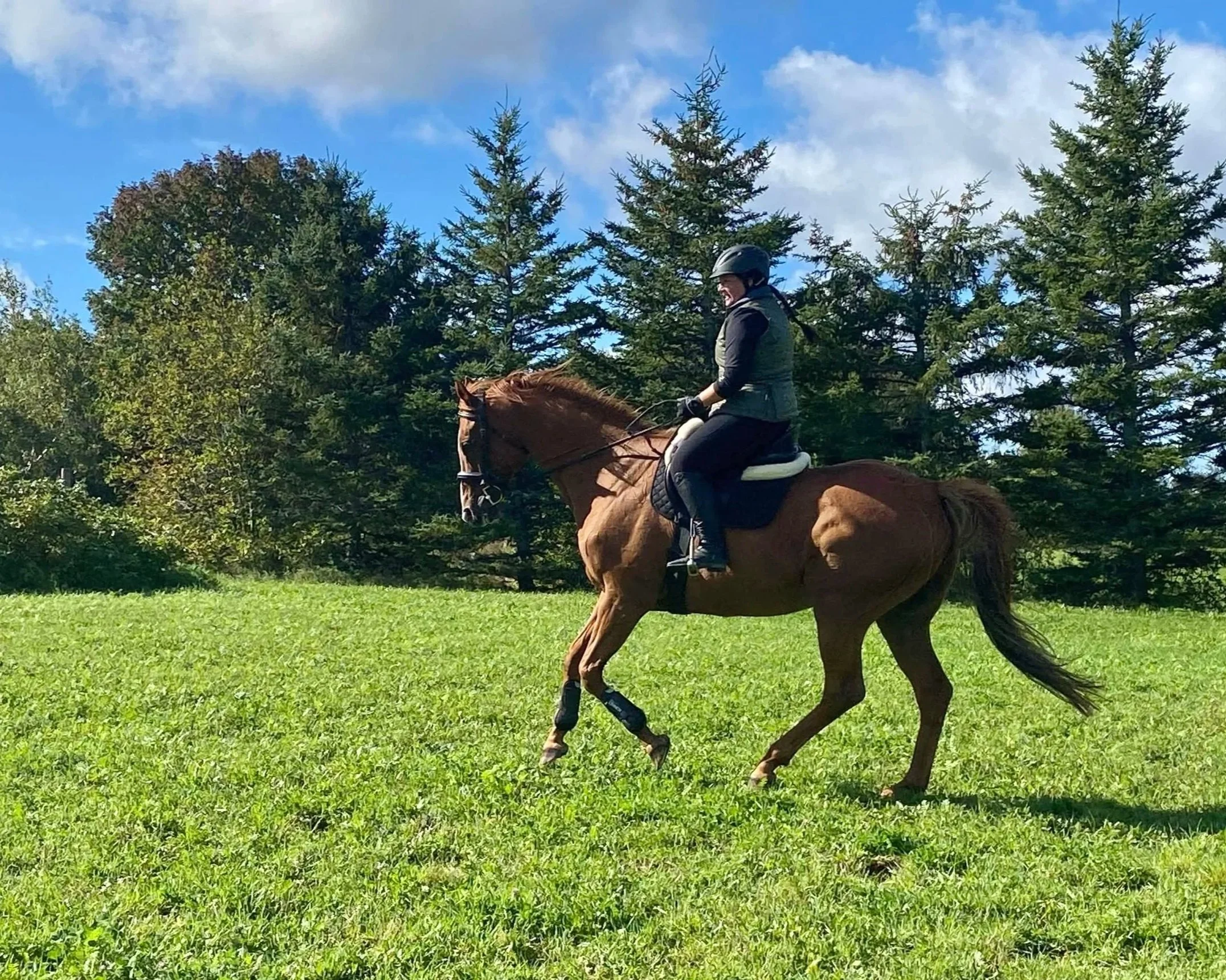 Tiffany Bastarache, MMCP Riding her Chestnut Thoroughbred through and open field