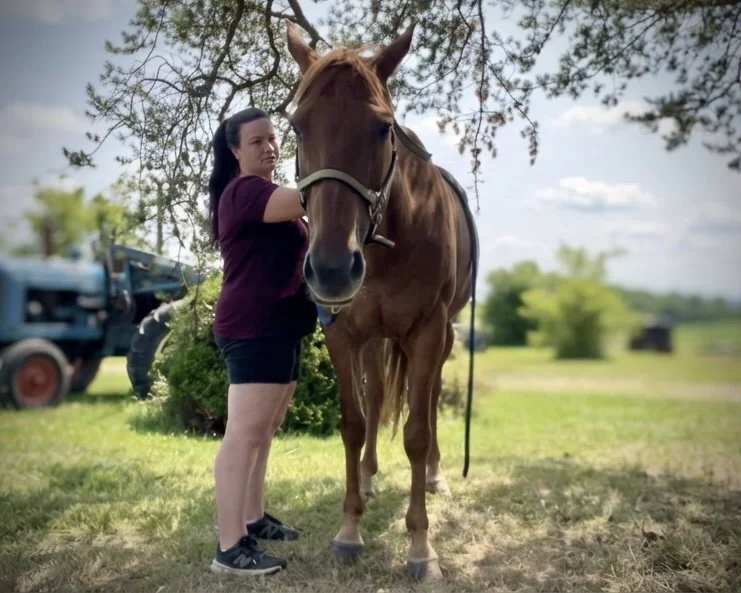 A woman in a maroon shirt and black shorts stands beside a brown horse outdoors on a grassy field, holding the horse's halter while looking at the camera. There are trees and an old tractor in the background.