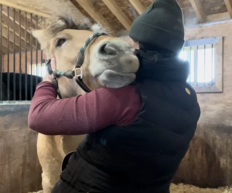 Tiffany Bastarache, MMCP doing head up with a young Fjord horse inside a barn