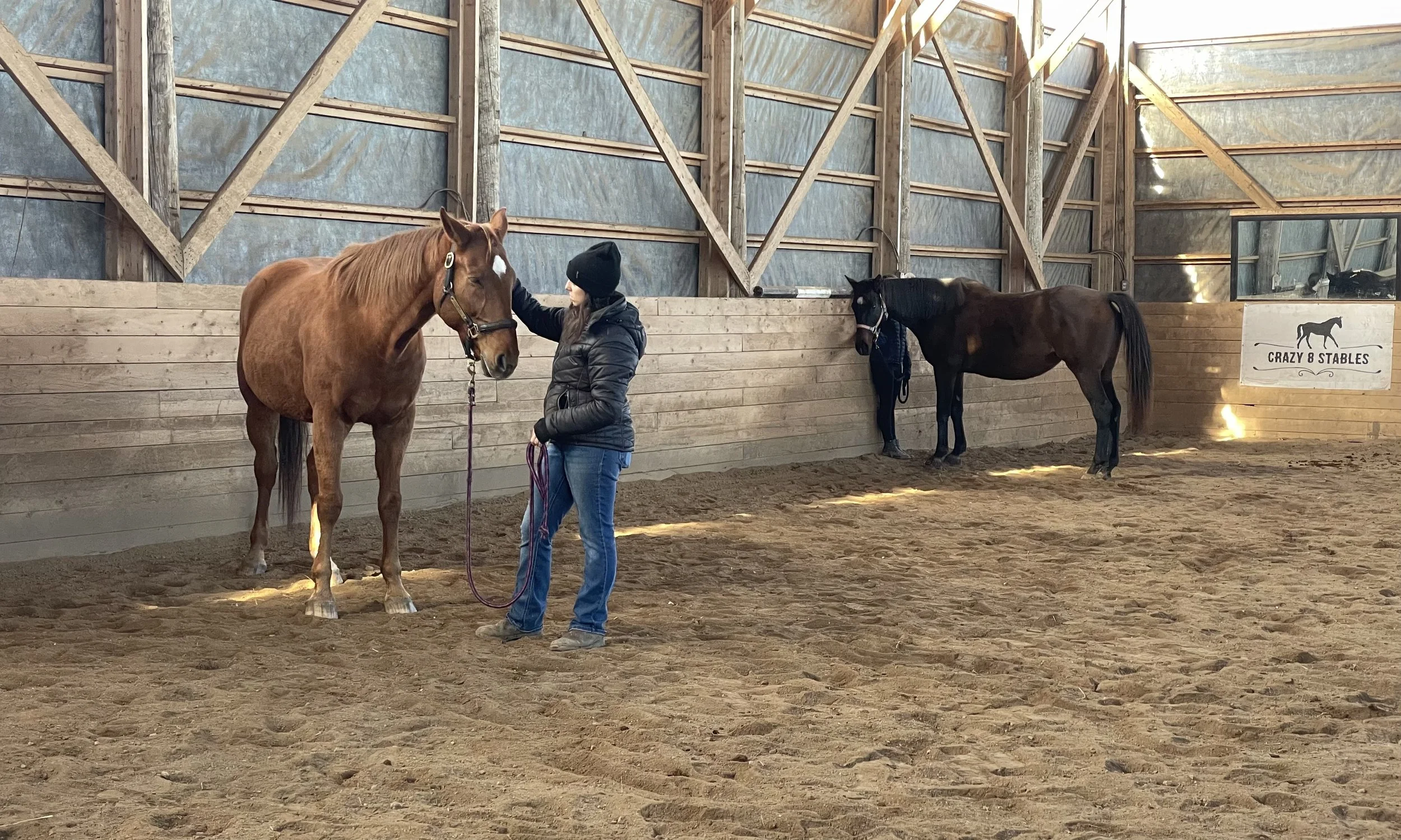 A woman standing inside a horse stable with two horses, one brown and one black. The woman is touching the brown horse's face. The stable has wooden walls and a dirt floor. A sign that says 'Crazy 8 Stables' is on the wall in the background.