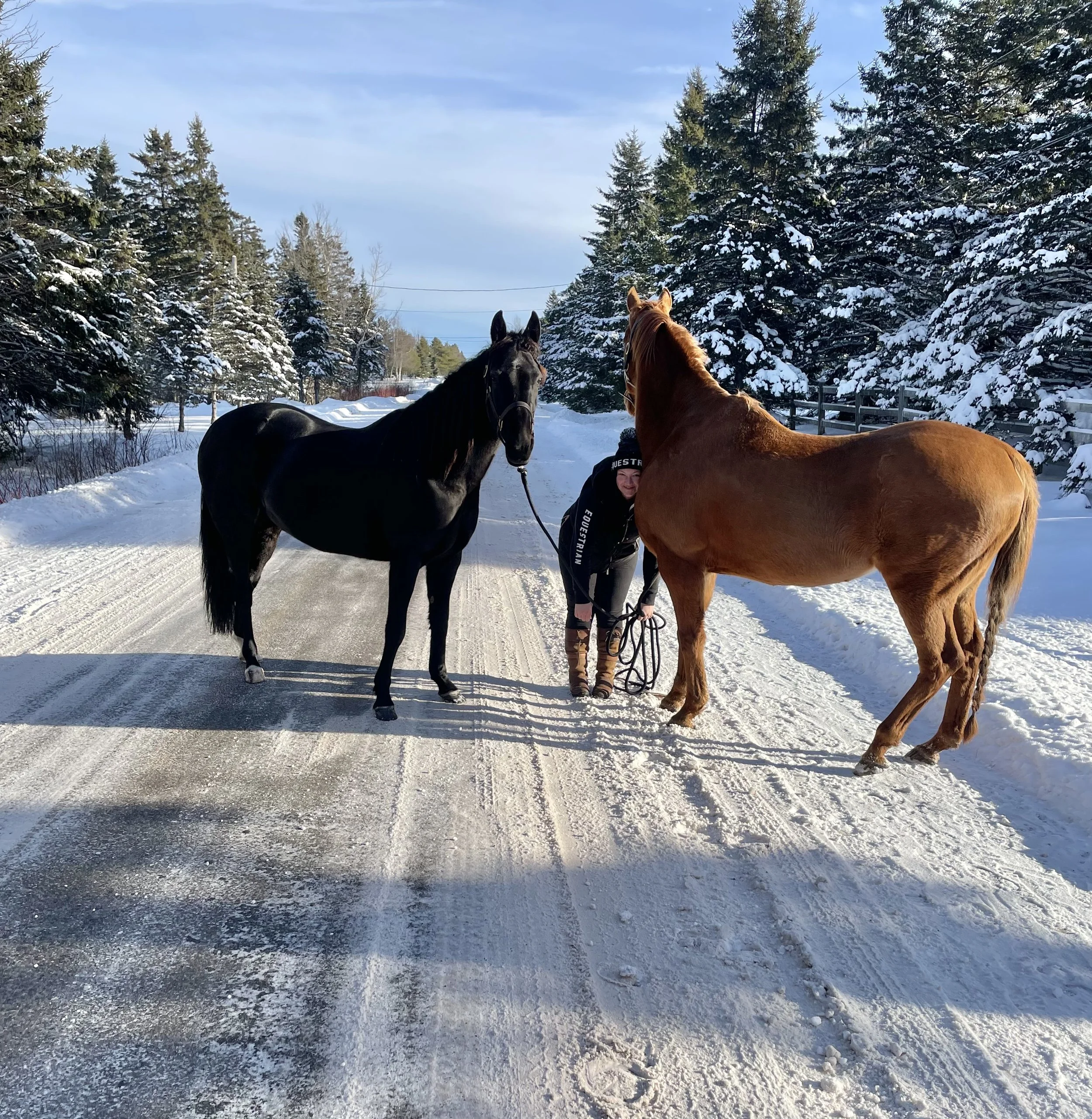 Tiffany Bastarache, MMCP standing on a snowy road between her two horses, one black mare and one chestnut gelding, in a winter landscape with snow-covered trees and mountains in the background.