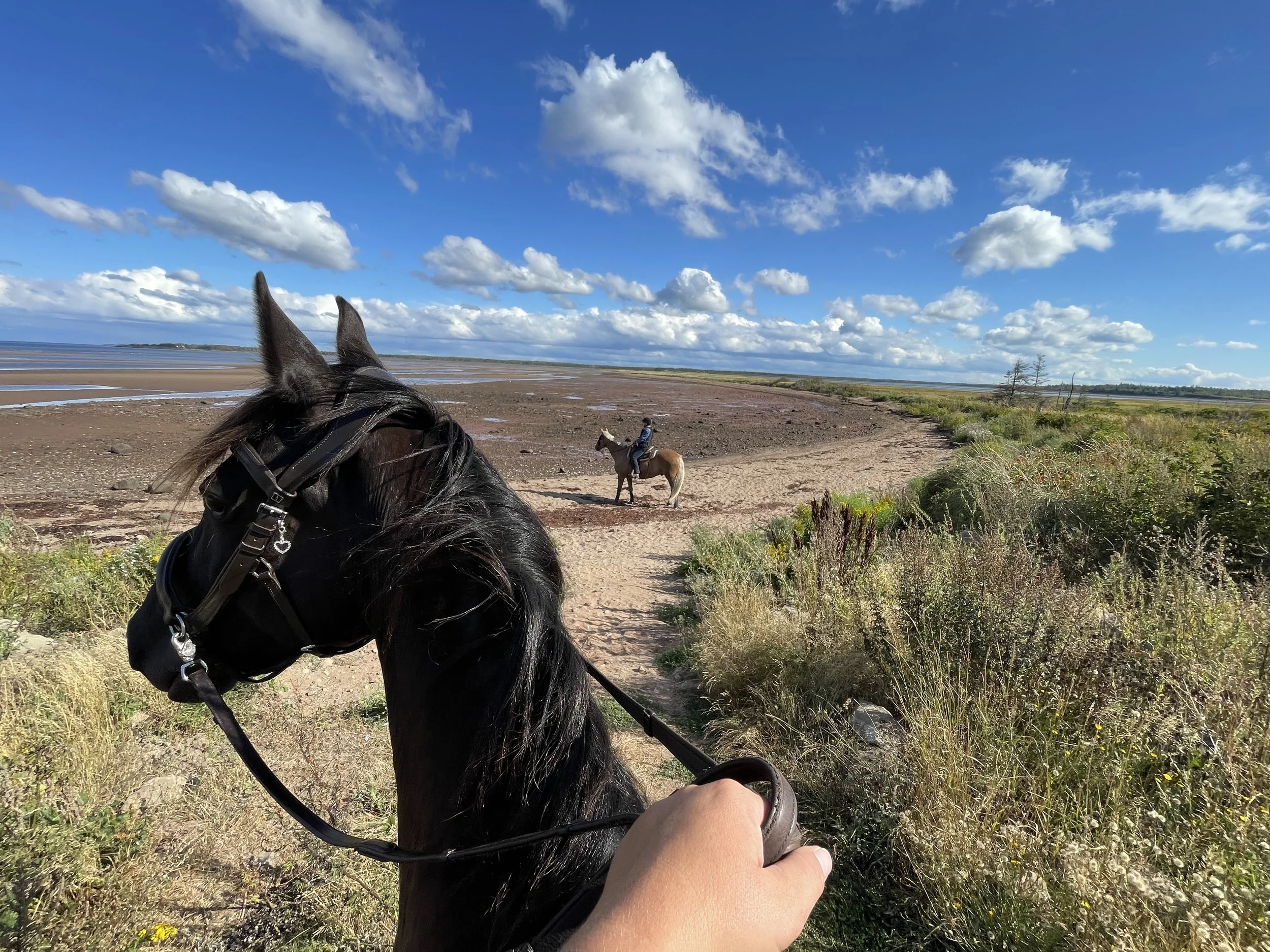 A person riding a black horse along a dirt trail near a beach or estuary with another person on horseback in the distance. The landscape includes grass, shrubs, and a large water body under a partly cloudy sky.