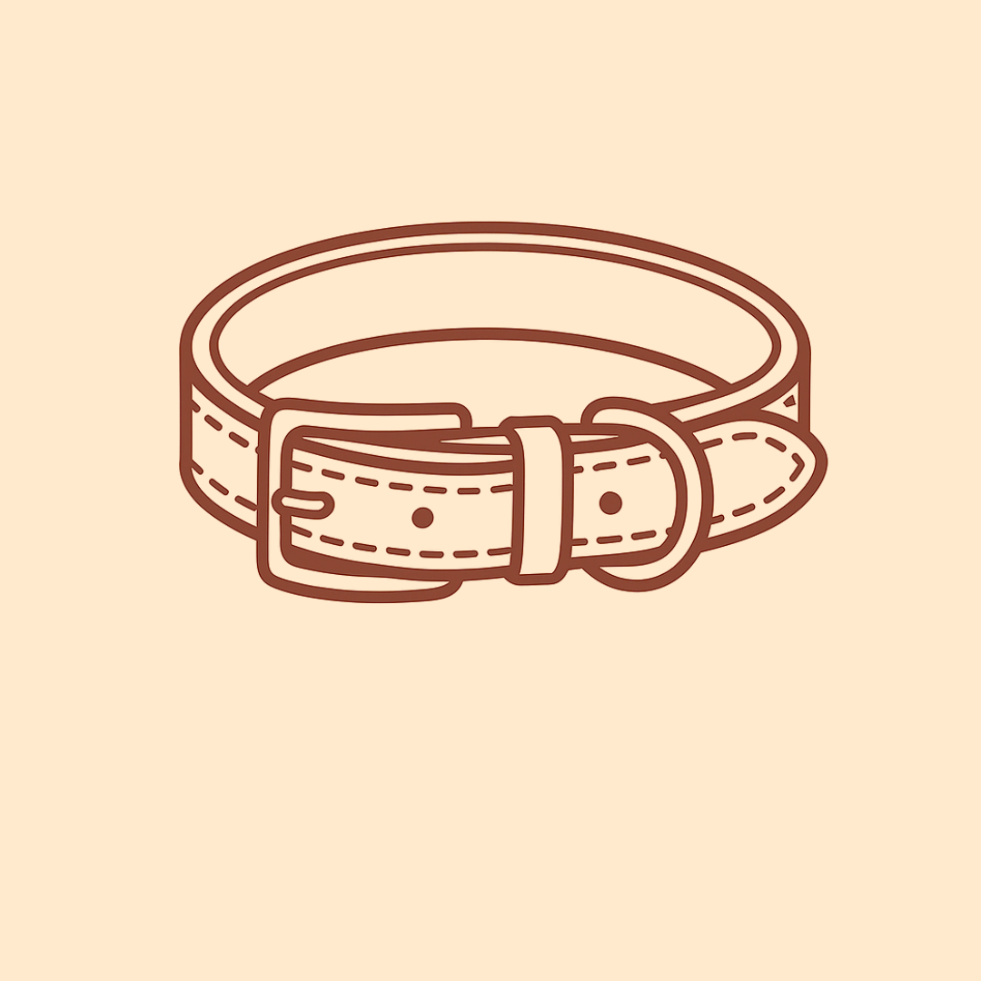 Dog Collar