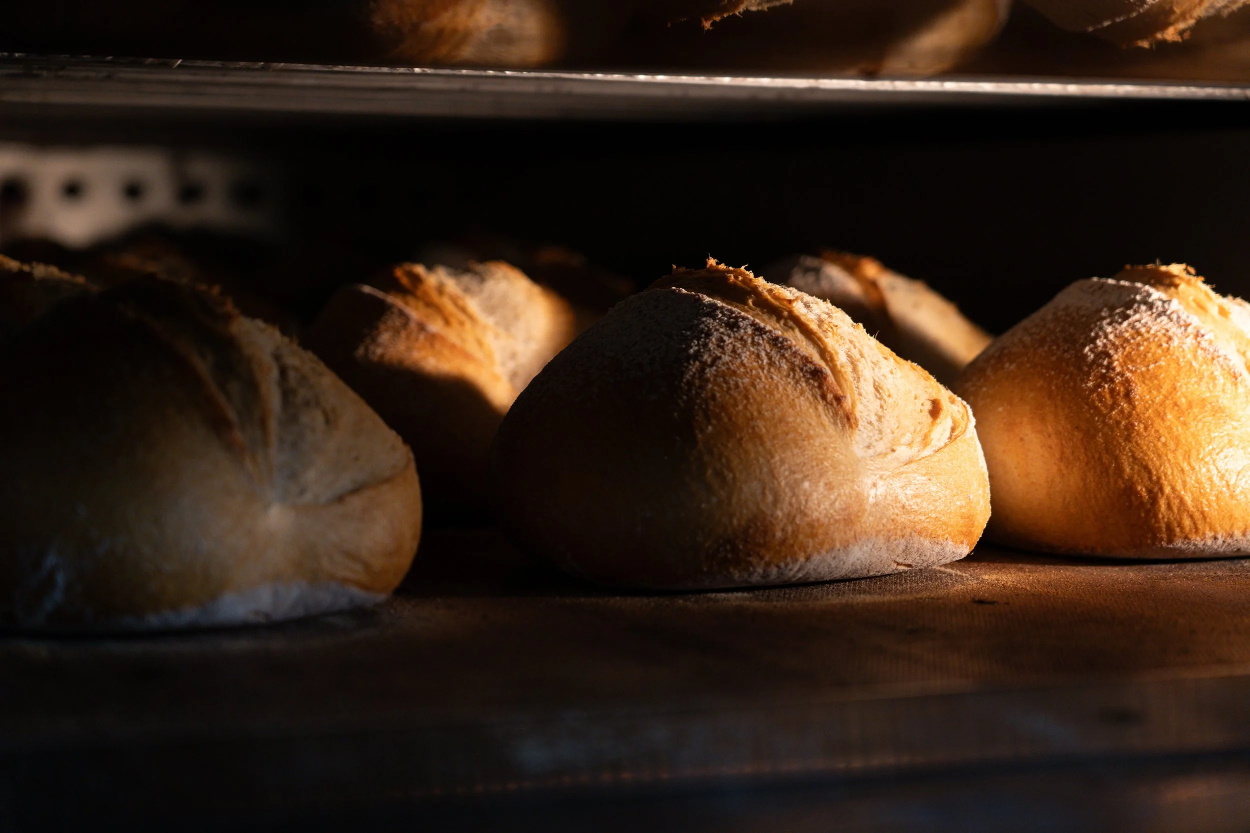 Bread rising in an oven with warm lighting