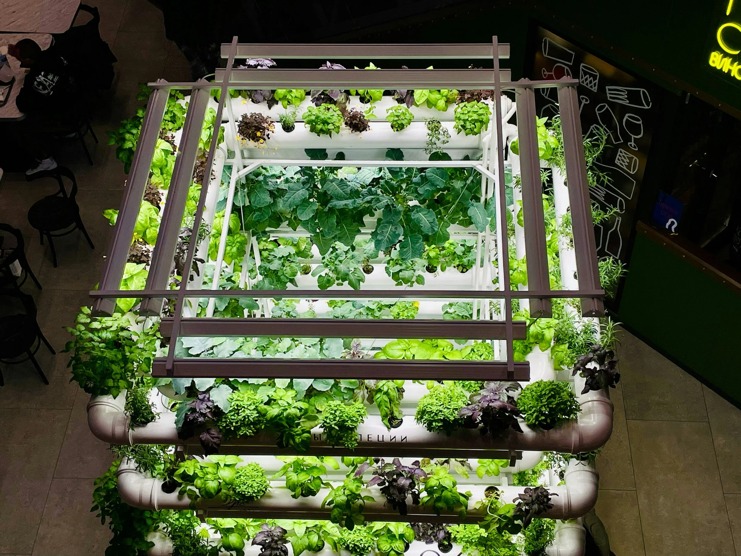 Jardín de hierbas y vegetales en un sistema de cultivo vertical con iluminación LED, en un establecimiento comercial.