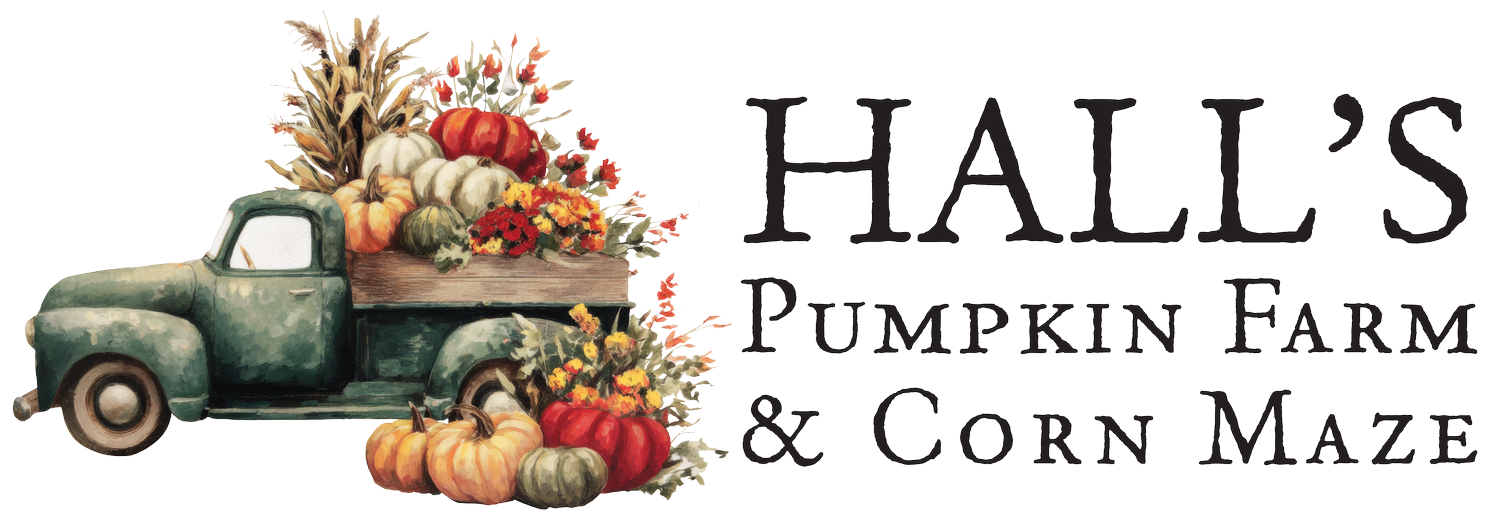 Hall&#39;s Pumpkin Farm &amp; Corn Maze