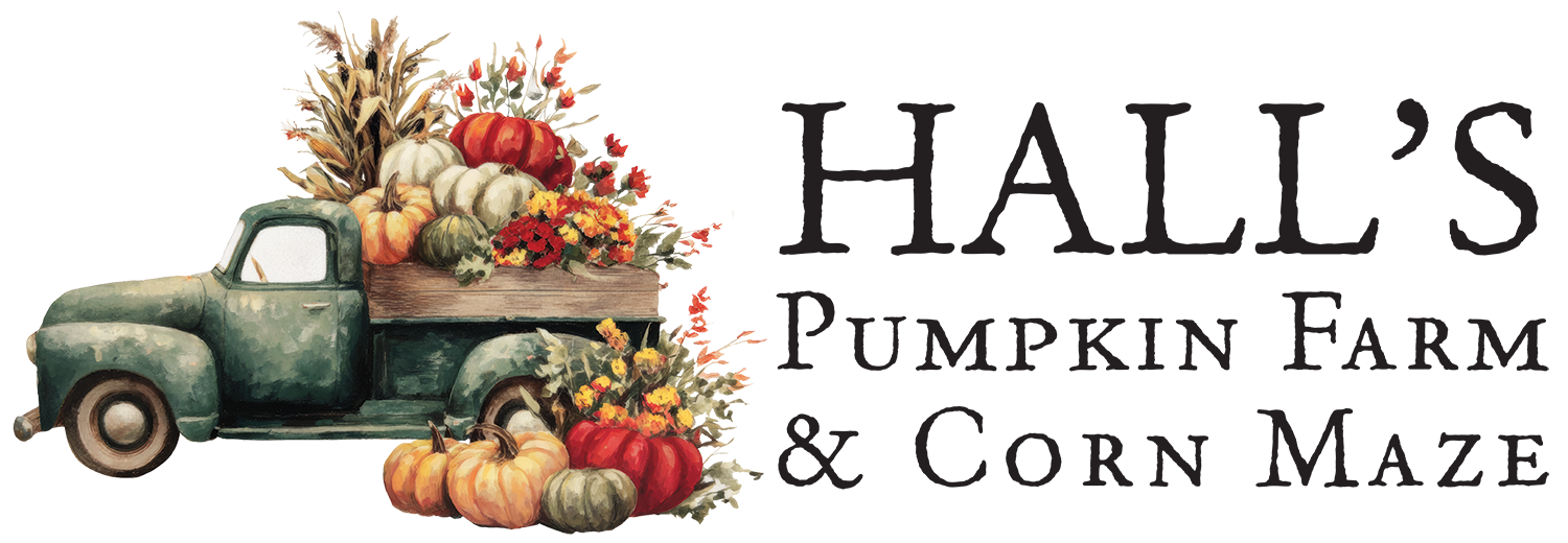 Hall&#39;s Pumpkin Farm &amp; Corn Maze