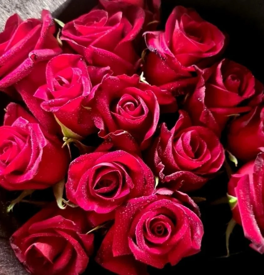 Love is Love 12 red roses $100.jpg