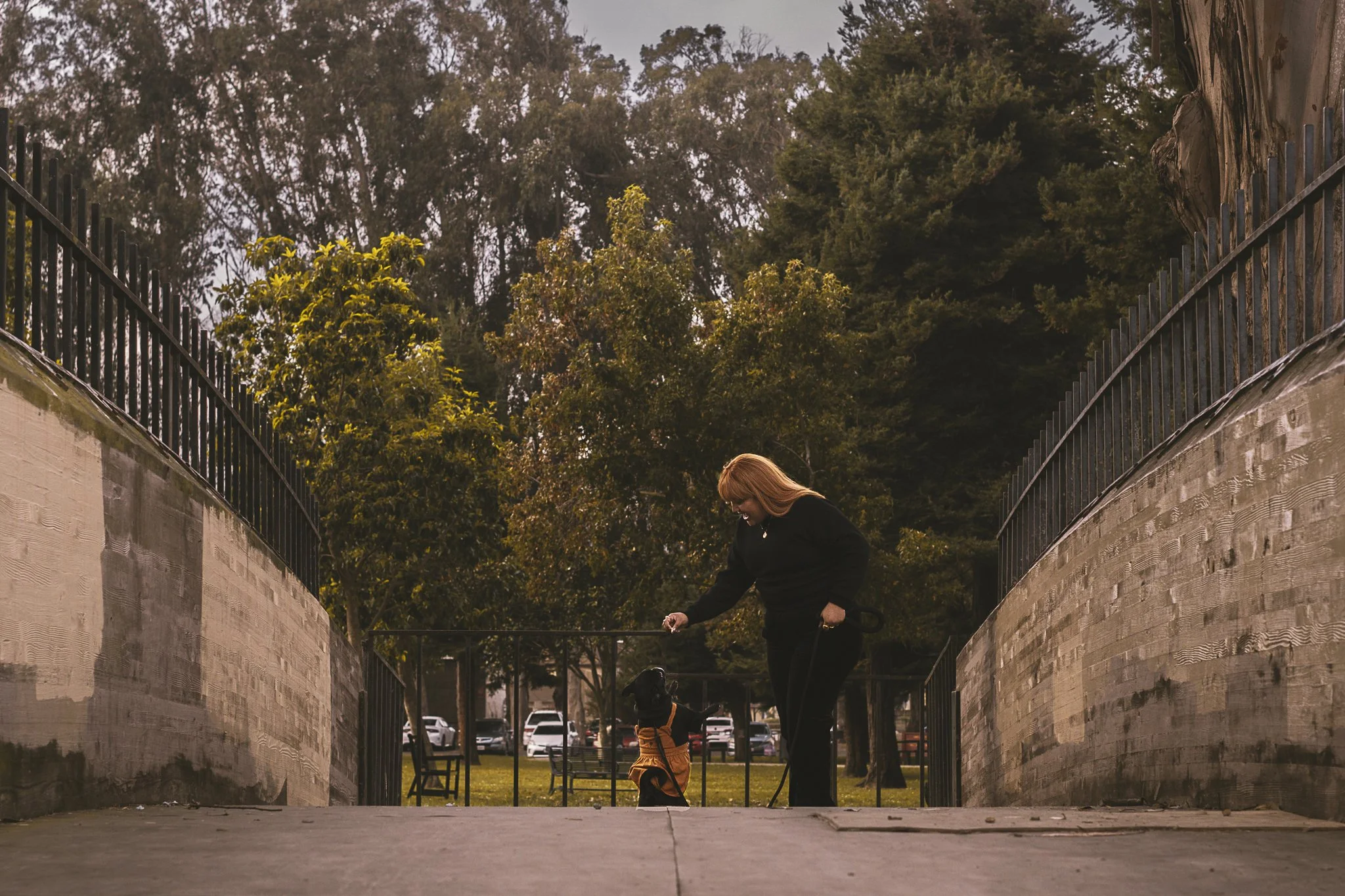 Wezelf World DSC01387.jpg