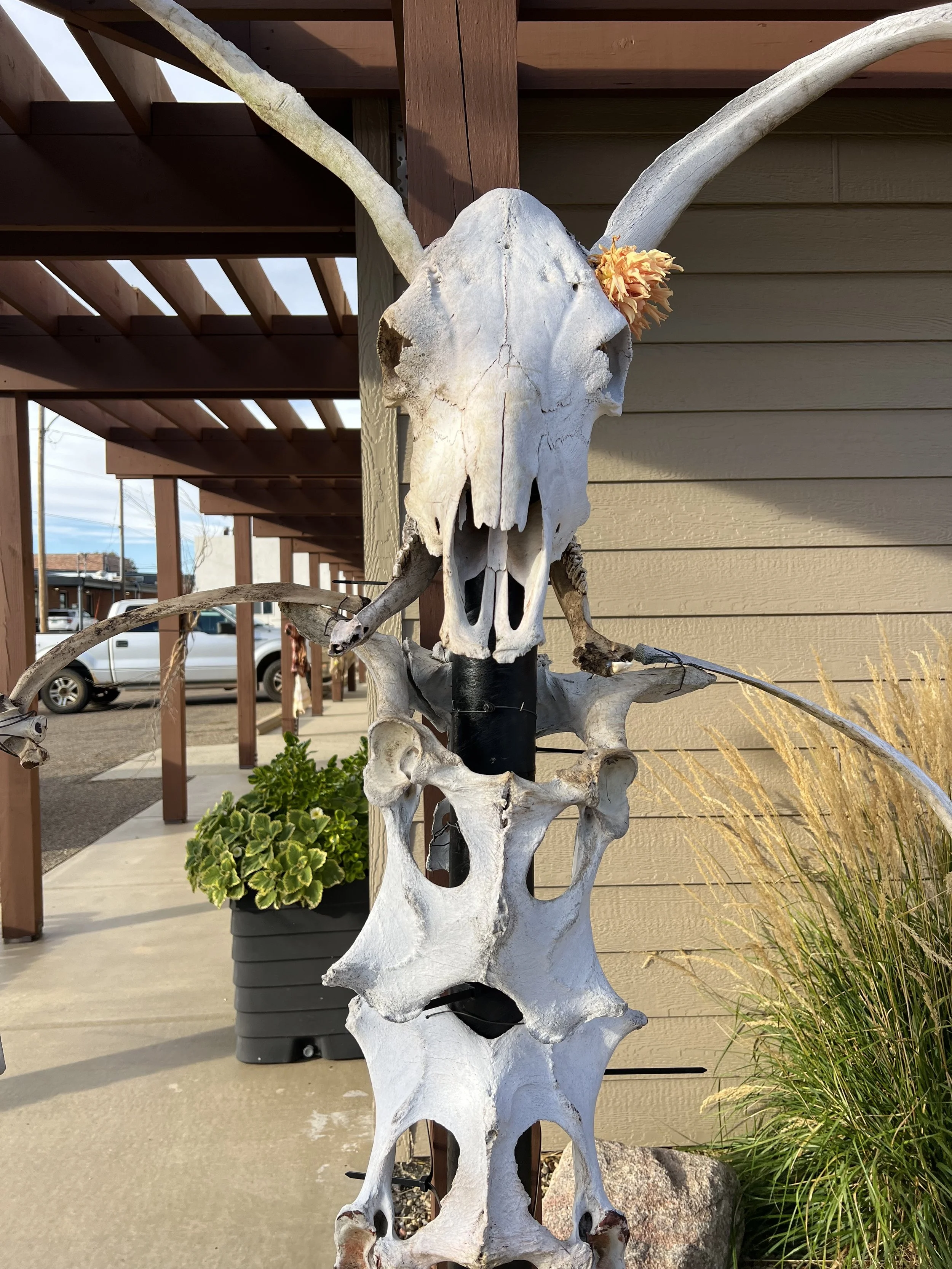 Bowman Regional Public Library Scarecrow stroll