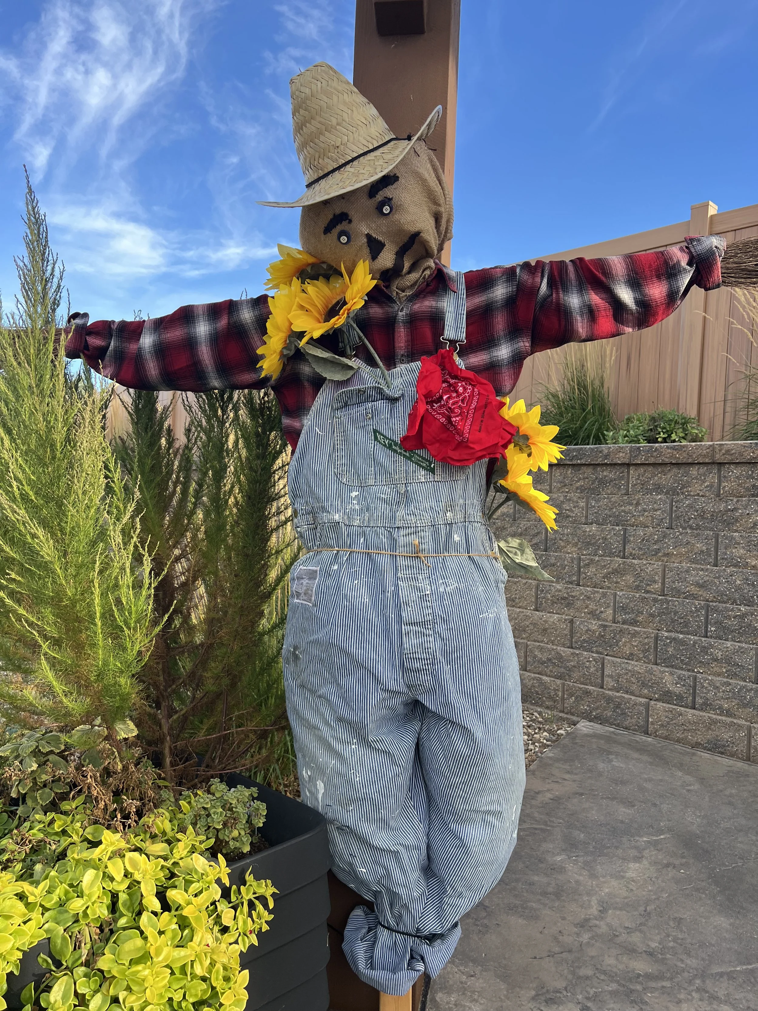 Bowman Regional Public Library Scarecrow stroll