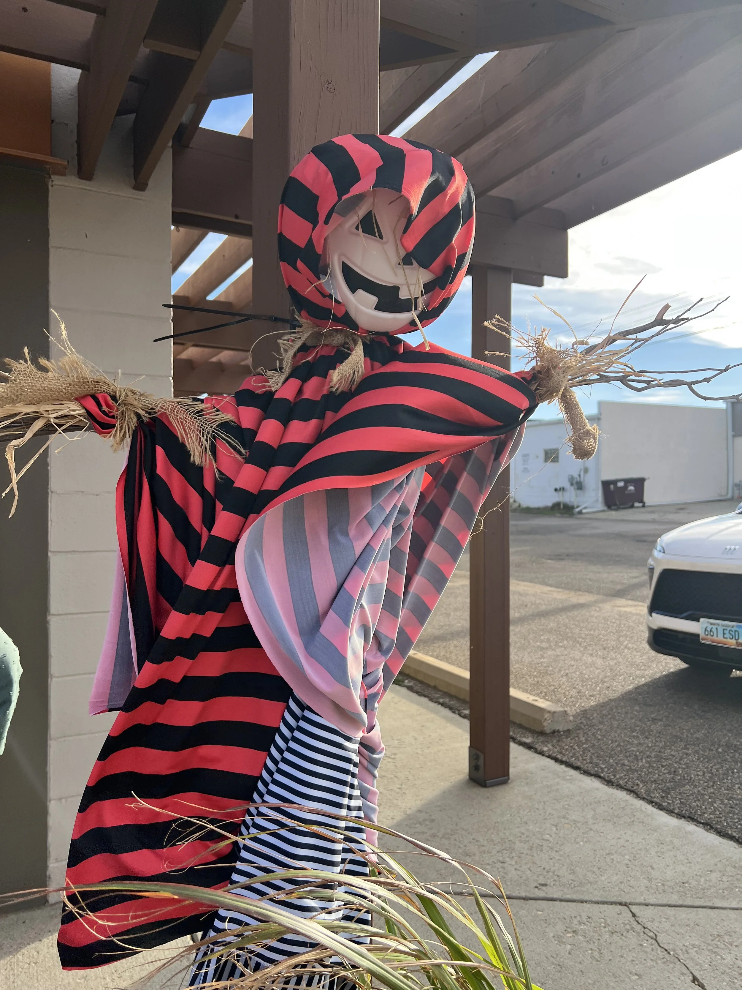 Bowman Regional Public Library Scarecrow stroll