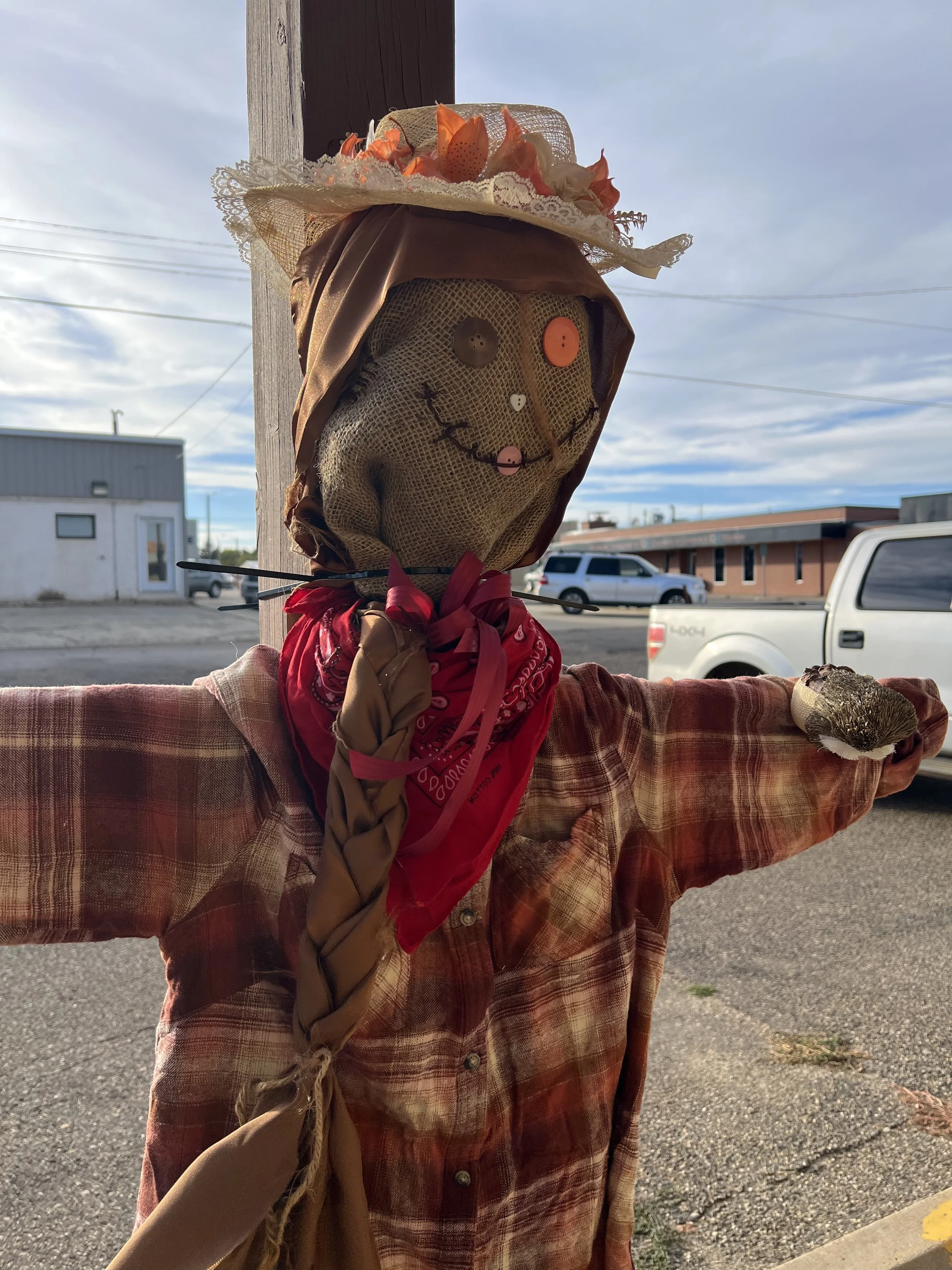 Bowman Regional Public Library Scarecrow stroll