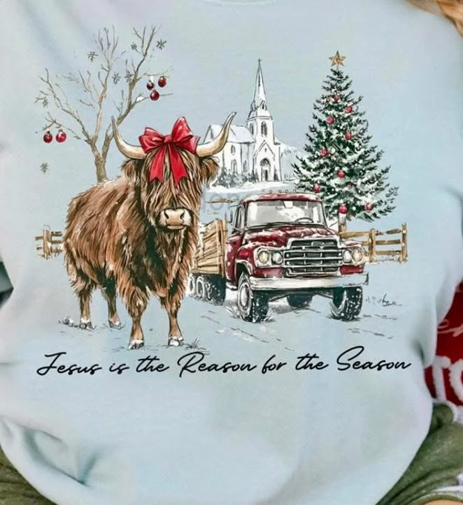 Highland cow/truck crewneck $25 t-shirt $20