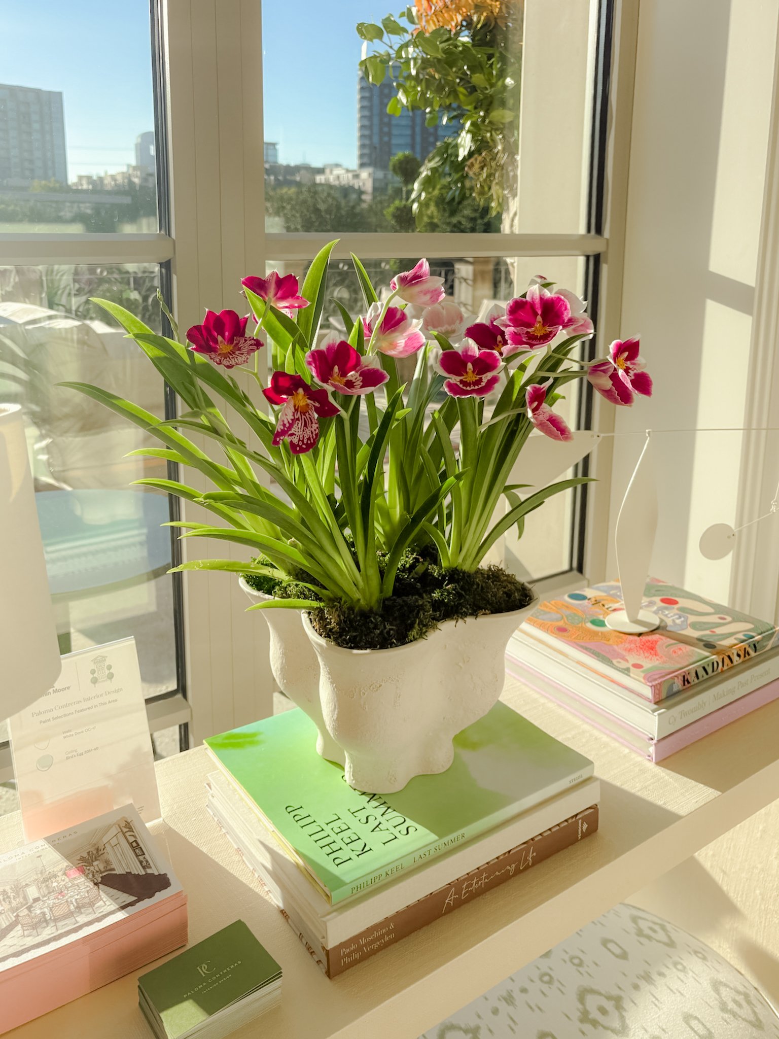 Photo Nov 07 2025, 8 14 15 AM.jpg