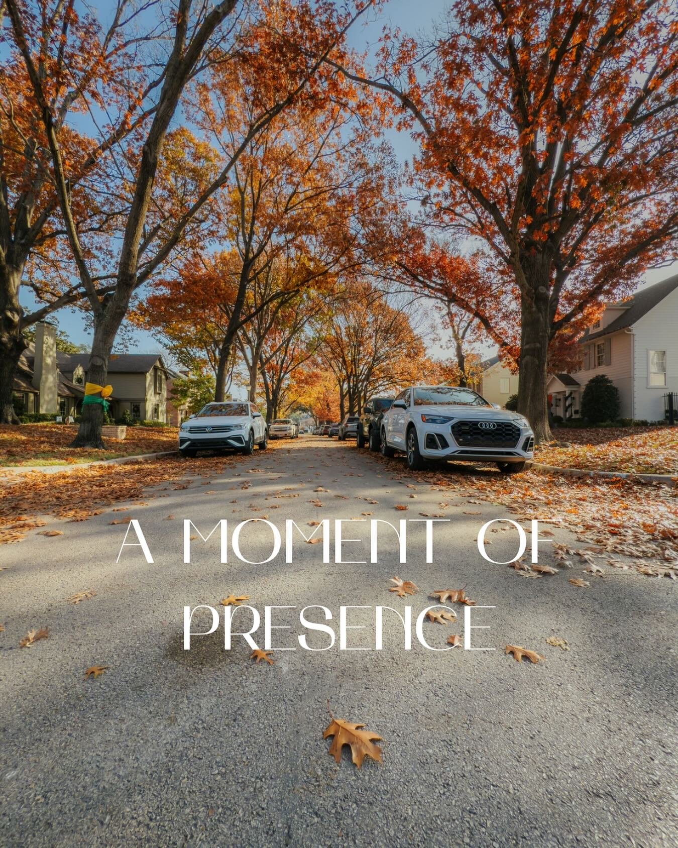 For our 8th Day of Christmas, we &ldquo;stopped and smelled the roses&rdquo;

Maybe not so literal, but the idea rings true nevertheless.

Amongst the hustle and bustle and appointments and shopping and organizing all the parts of spending time with 