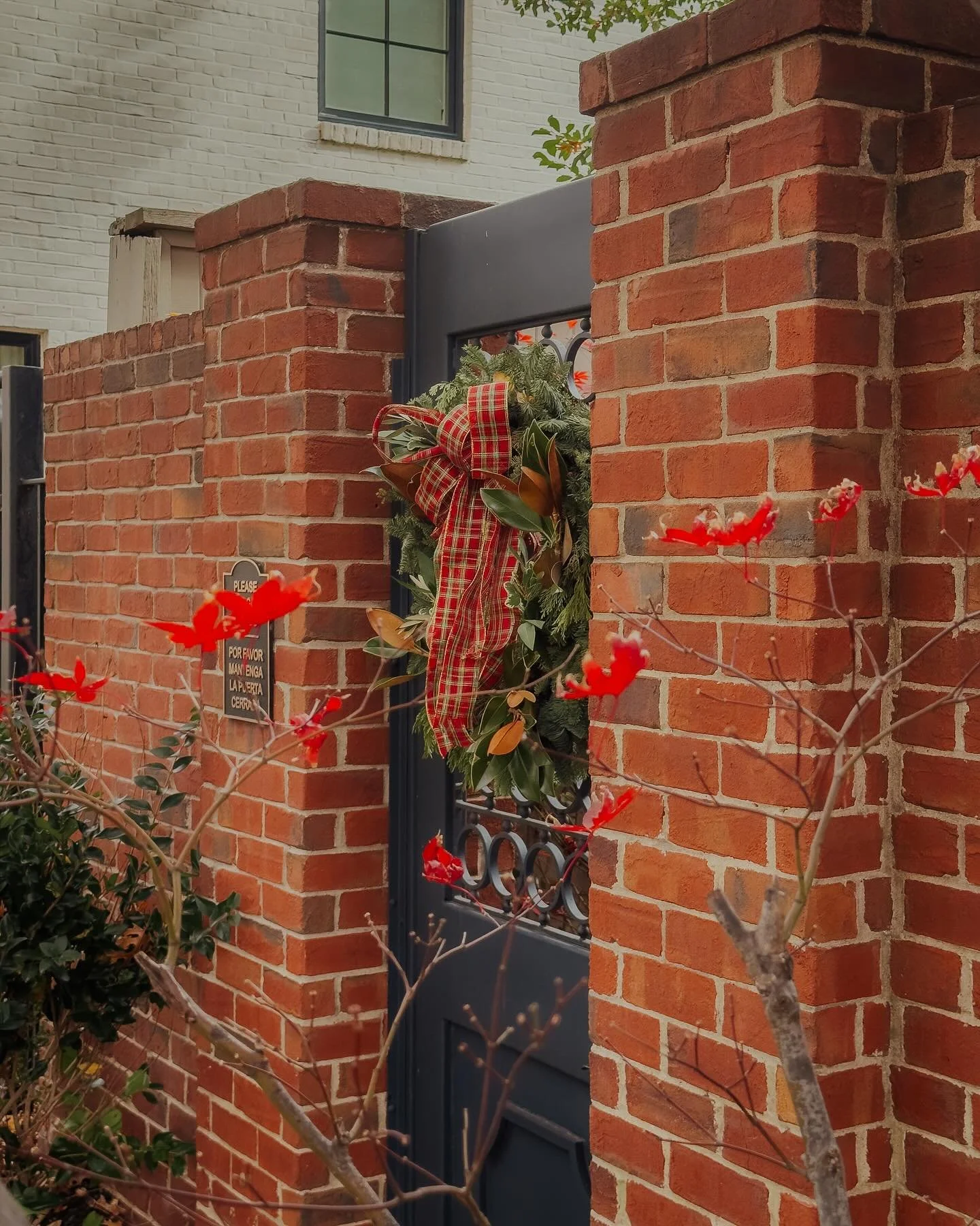 Holiday reds in places you wouldn&rsquo;t expect&hearts;️

December has been a whirlwind of weather in North Texas. From 80&rsquo;s and humid, to 30&rsquo;s and dry, it changed back and forth so fast. But, with those pattern changes comes a late fall