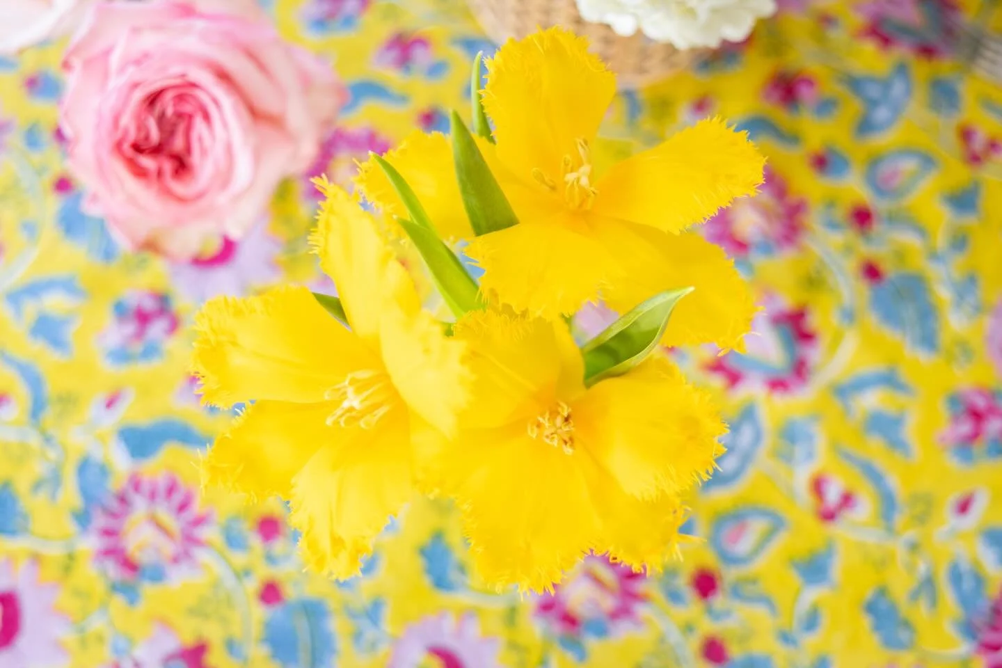 Hey y&rsquo;all, Easter is in a few days!!🐣

This is your last chance to get a spot for a design this holiday weekend. We&rsquo;d love to design your next memory💛

#floraldesign #event #eventdesign #dallas #highlandpark