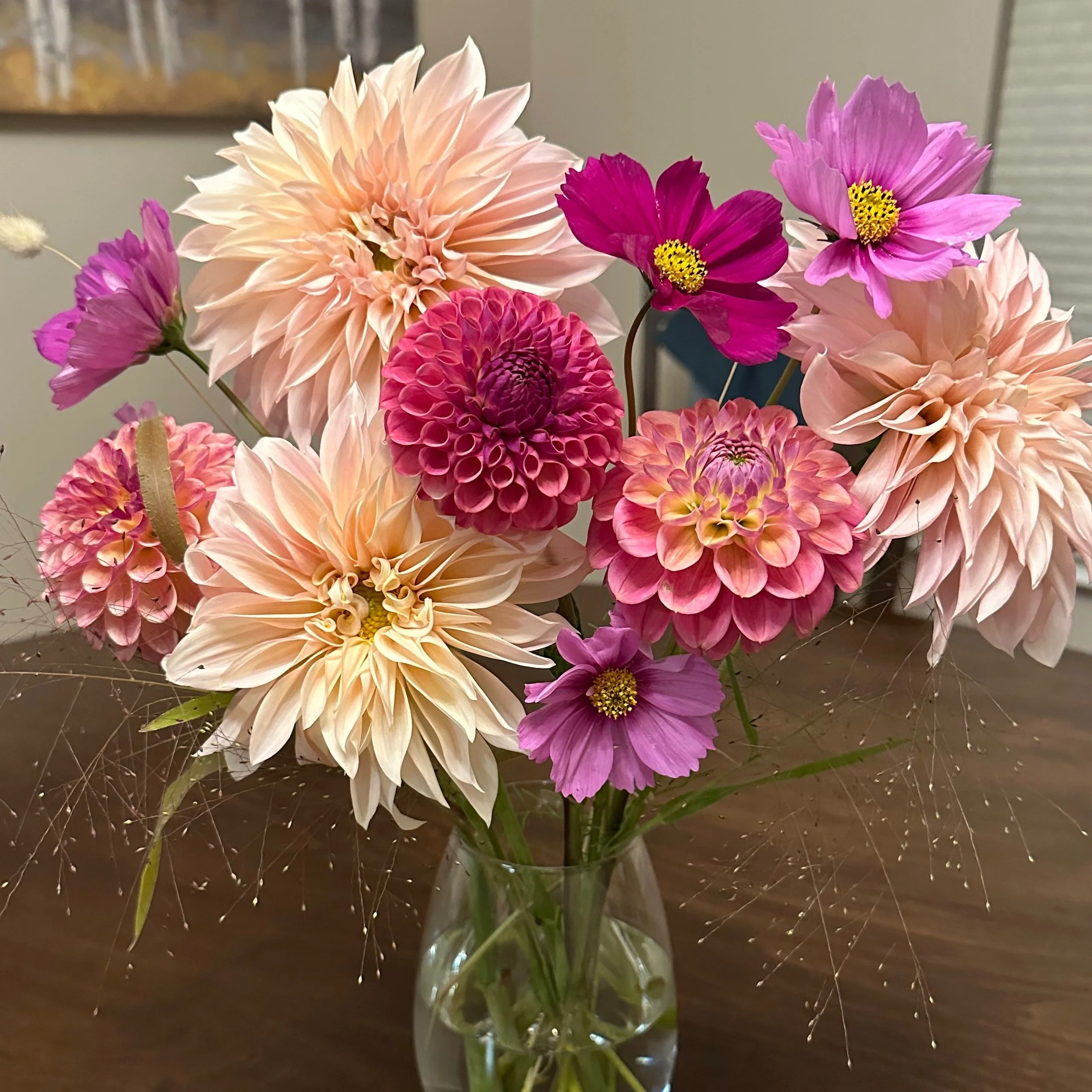 Grow Your Own Garden