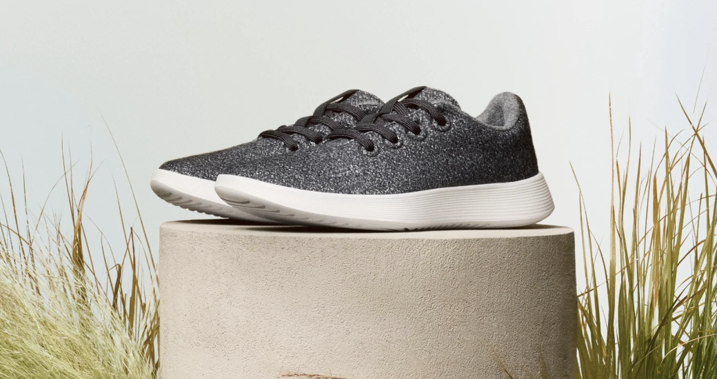 The Allbirds AI Story