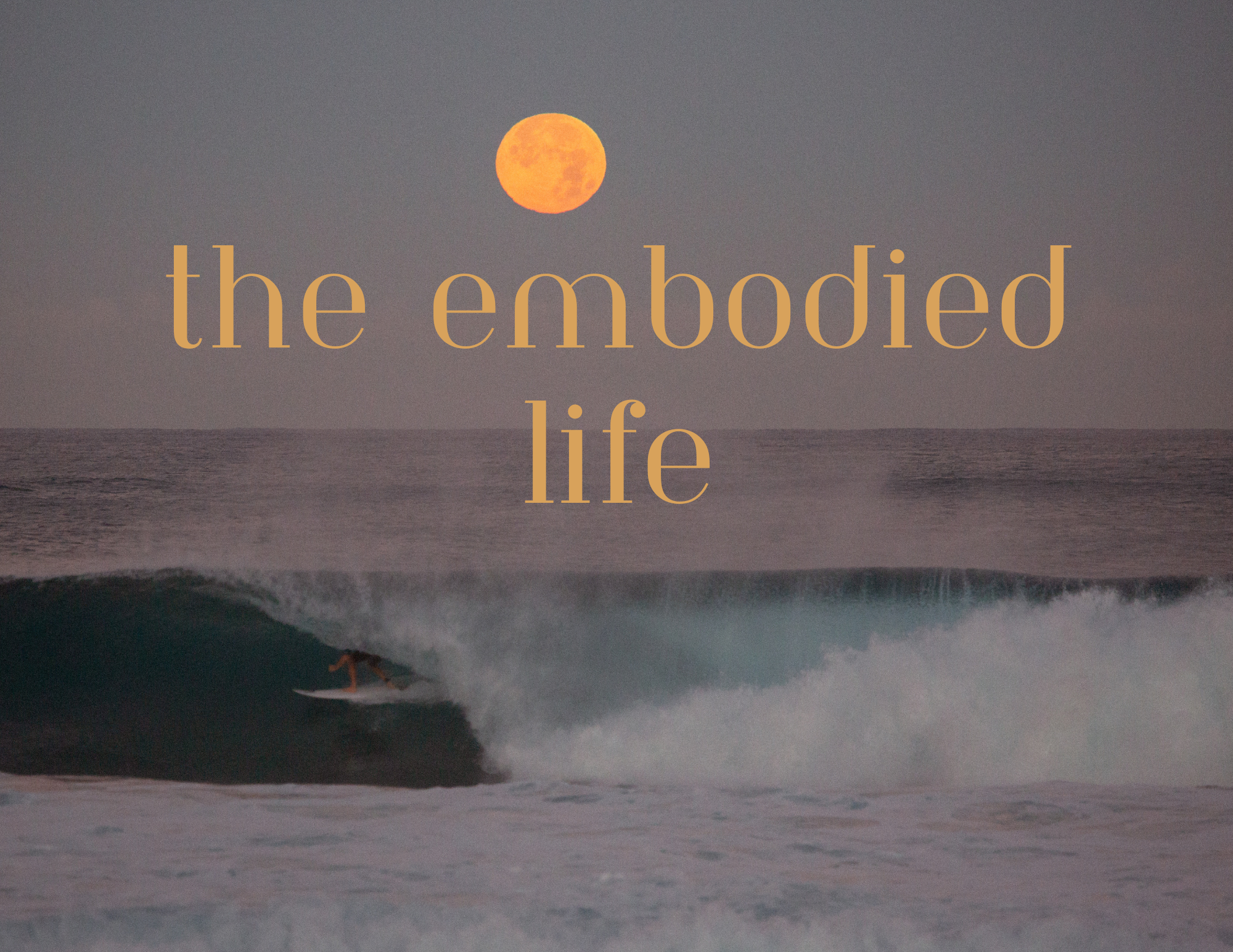 The Embodied Life