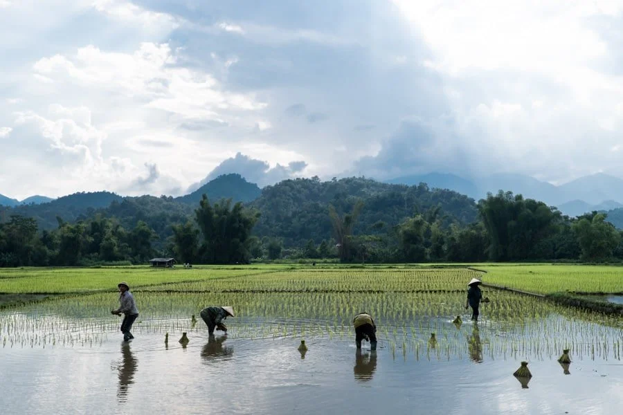 A short trip into the mountains of North Vietnam