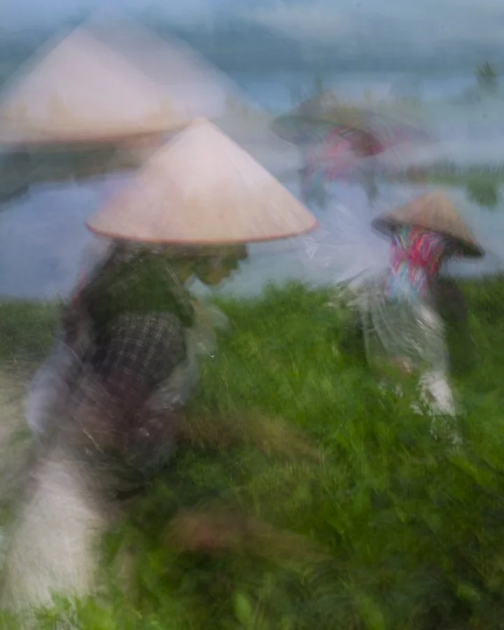 ICM Intentional camera movement case study - Part 2