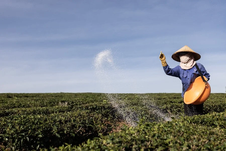 A scouting trip into the Central Vietnam Highlands