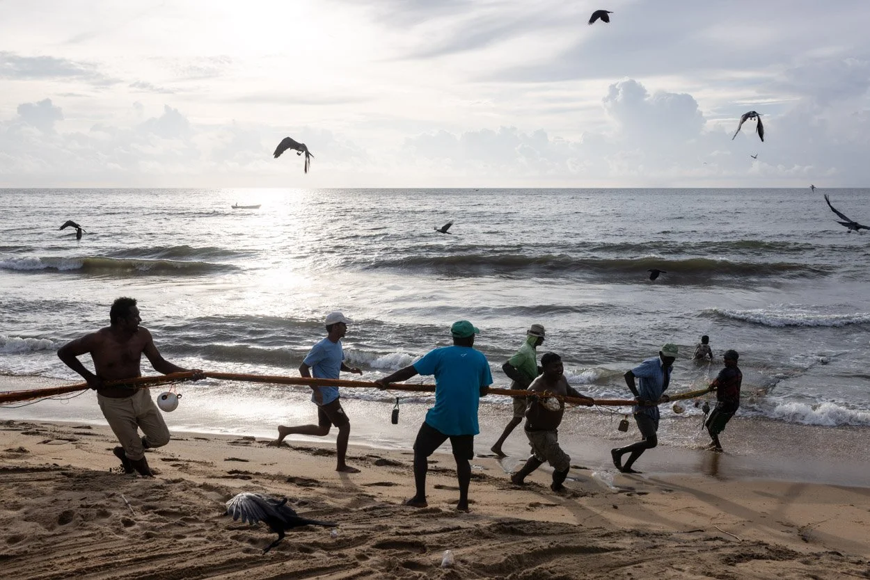 Sri Lanka photography tour 2023: fish guts and punctual crows