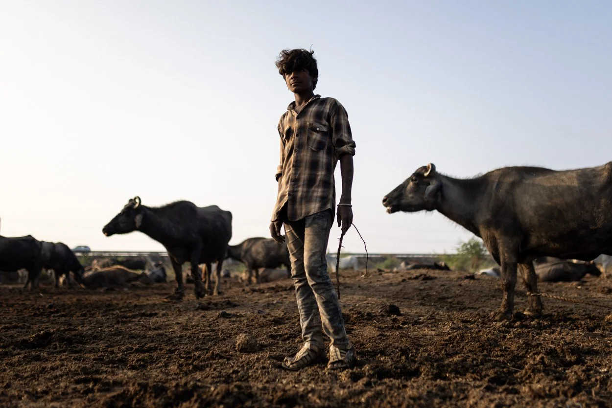 My new India photography tour: Mumbai and Gujarat Unveiled.