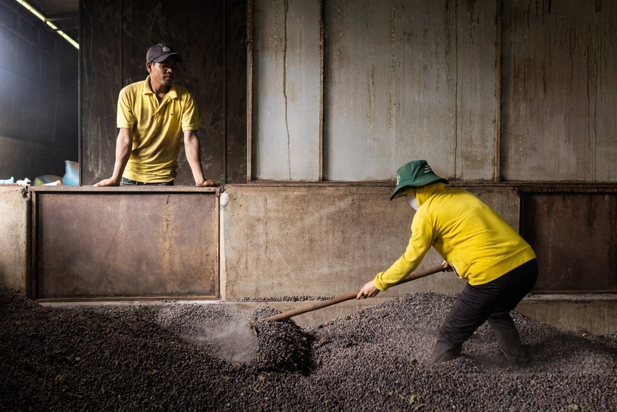 Vietnam's Magic Coffee Factories