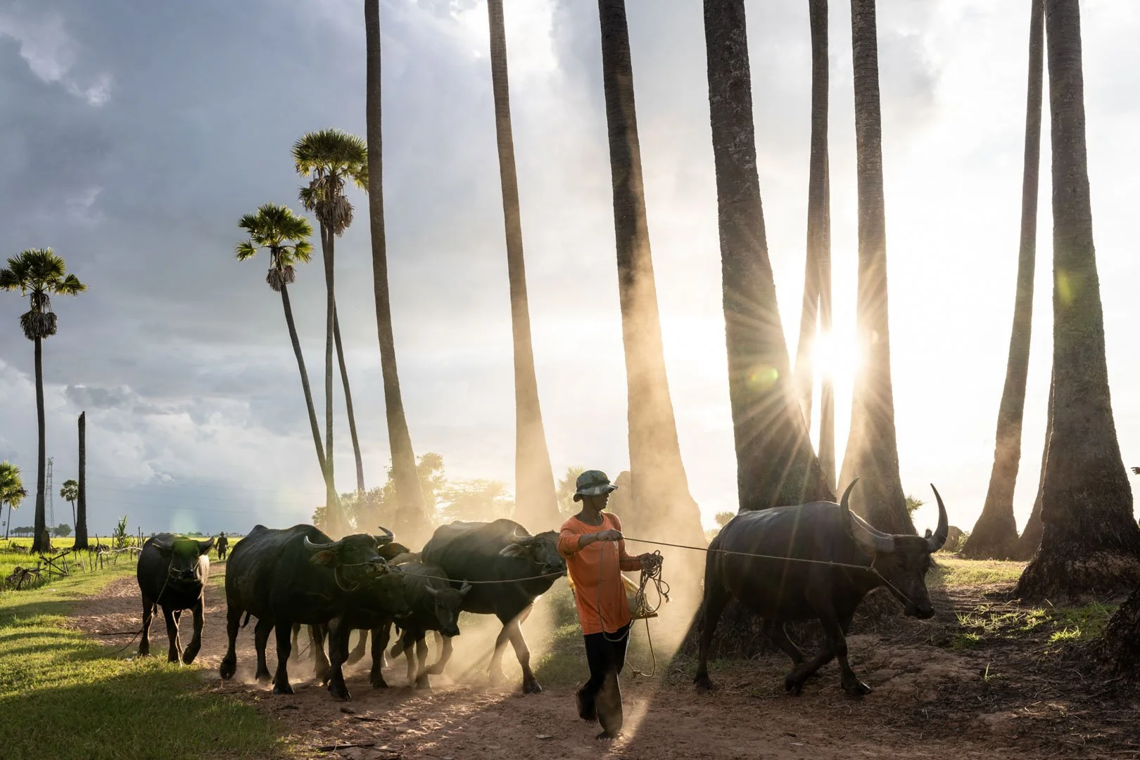 Cambodia Photo Tour 2024: So Good It Looks Staged!