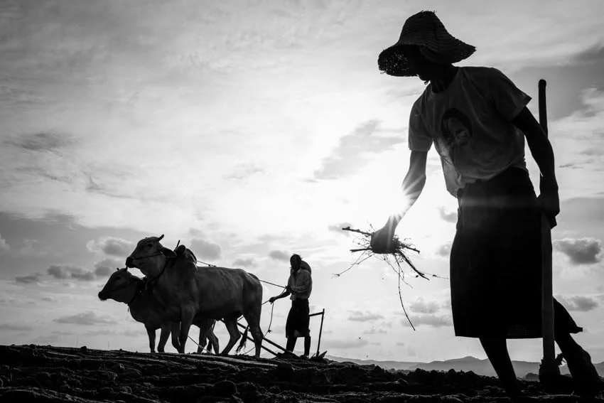 Myanmar photography tour 2017 recap