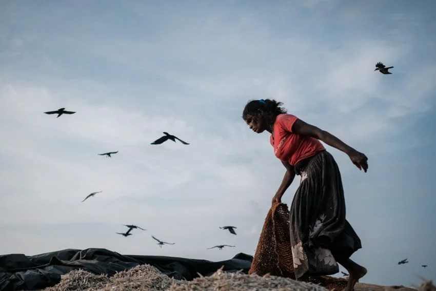 Promo video from our photography tour in Sri Lanka - 2018