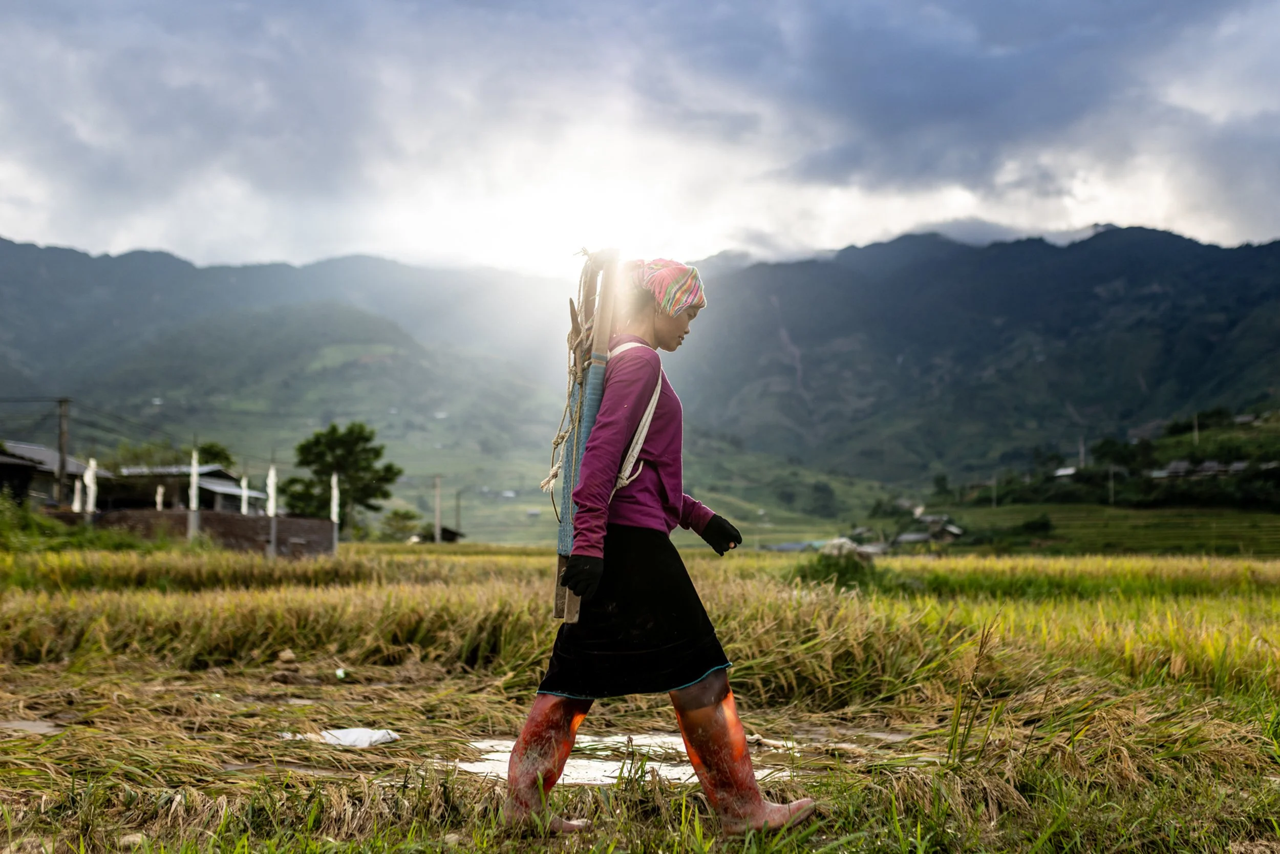 North & Central Vietnam Photo Tour 2025 – Trip Report