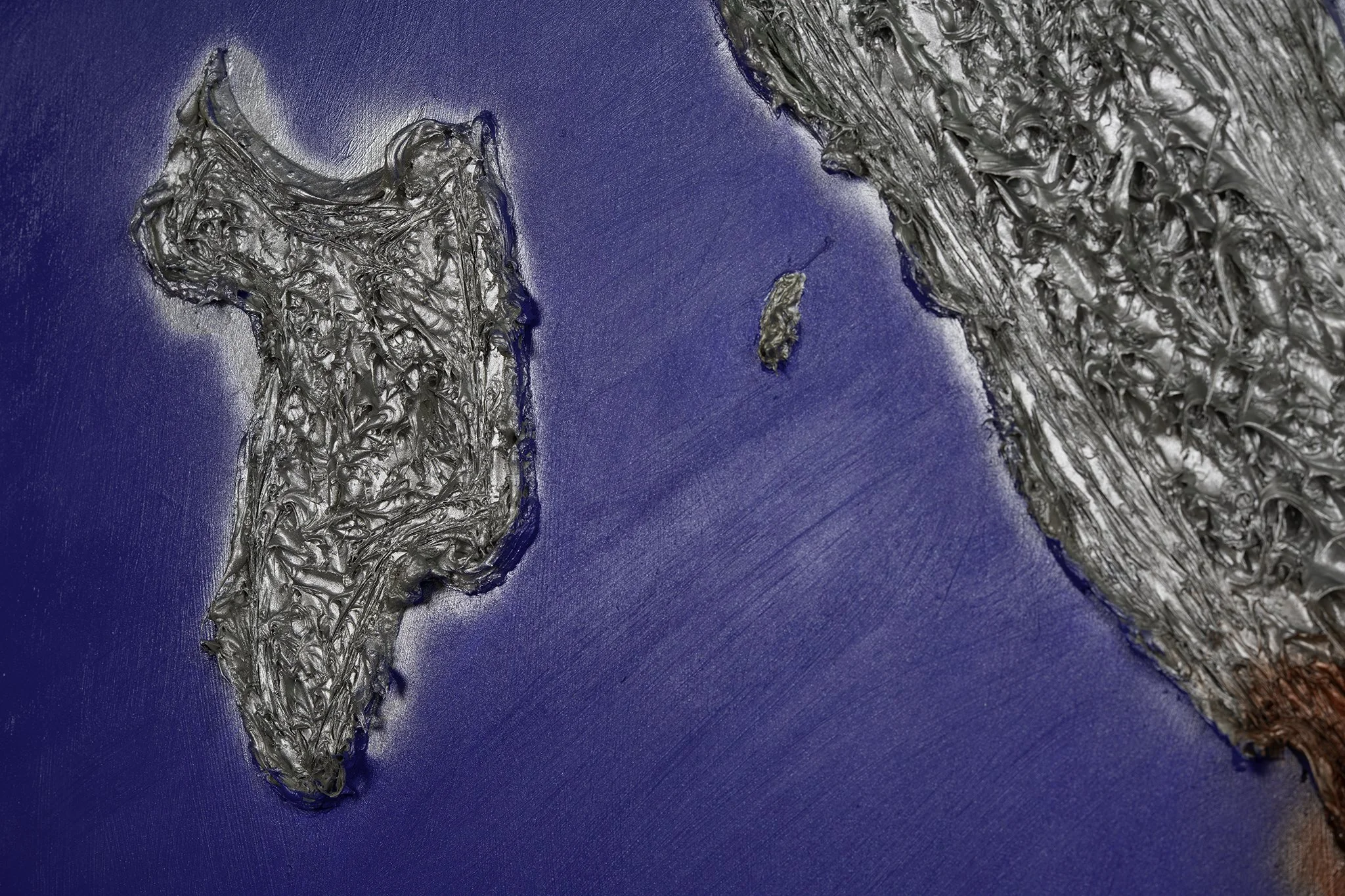 Forza Italia_TNI6965-Det2.jpg