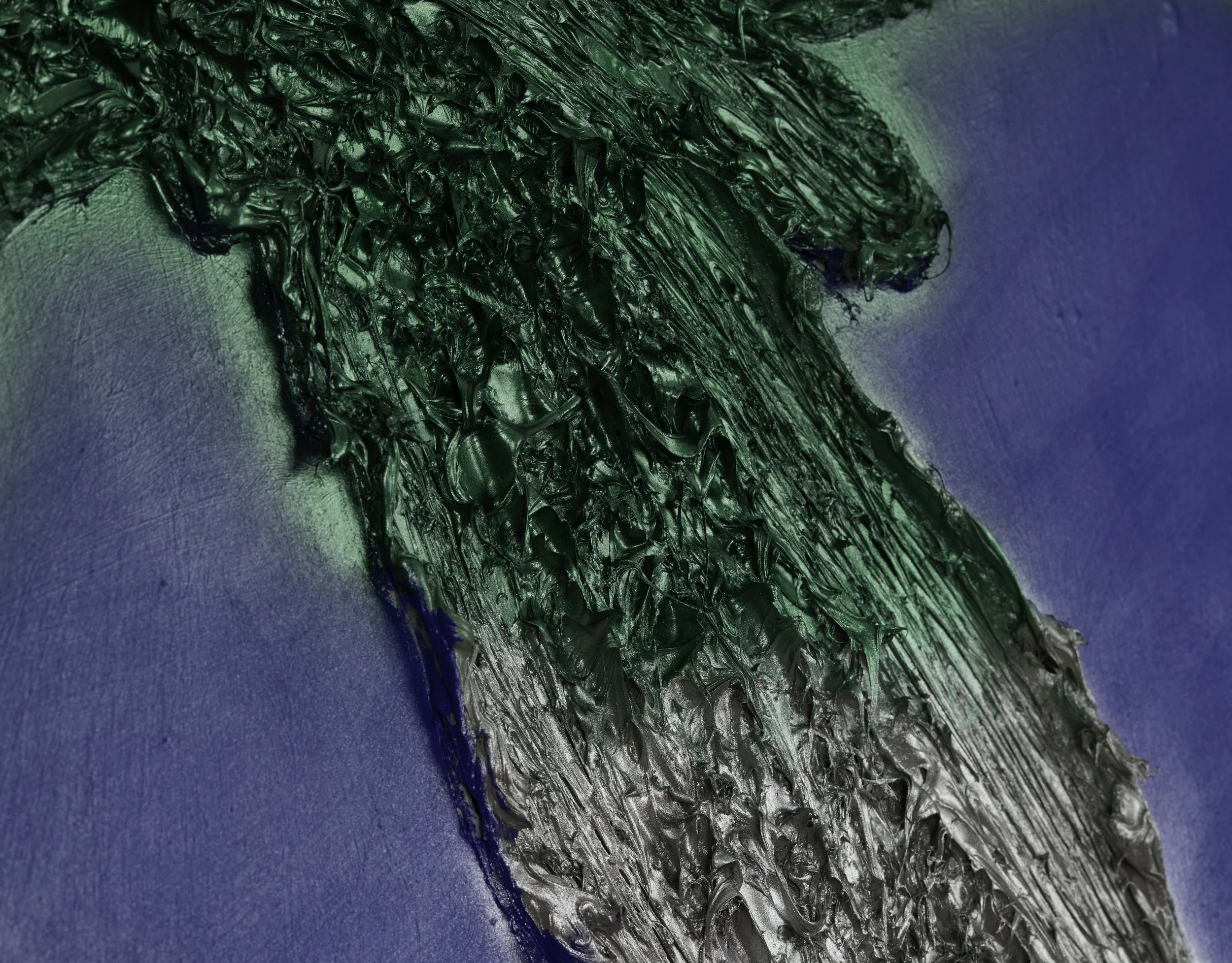 Forza Italia_TNI6965-Det6.jpg