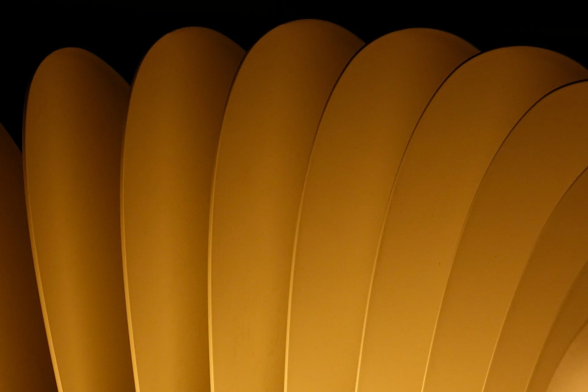 Close-up of yellow paper or cardboard fan with black background.