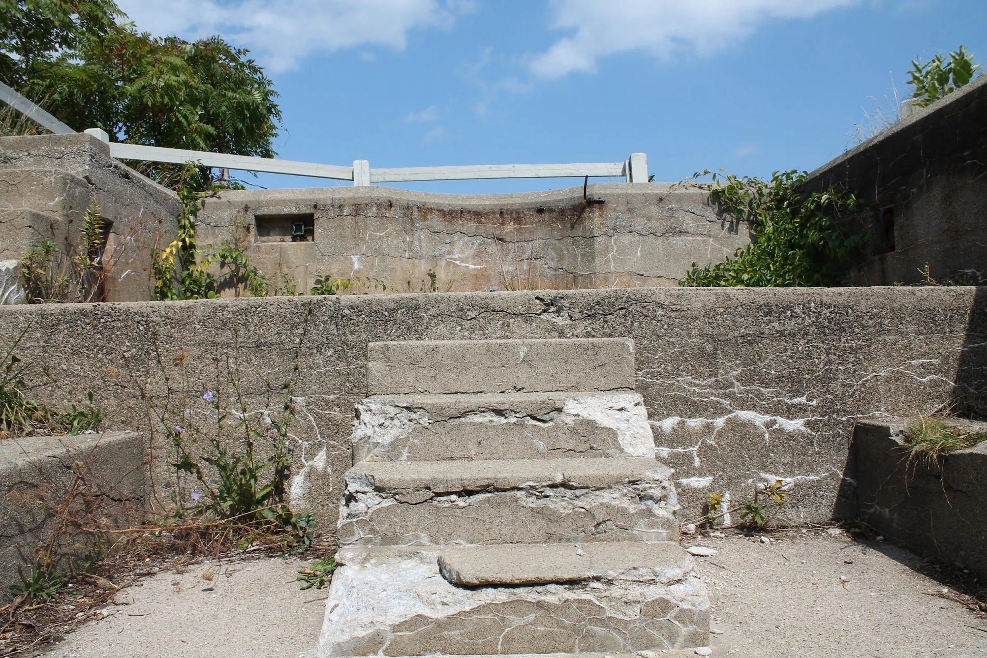 IMG_0509.CR2.jpg