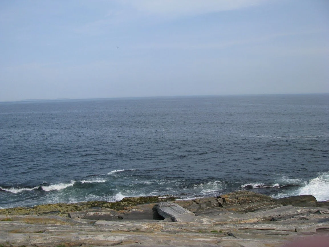 IMG_0015.jpg