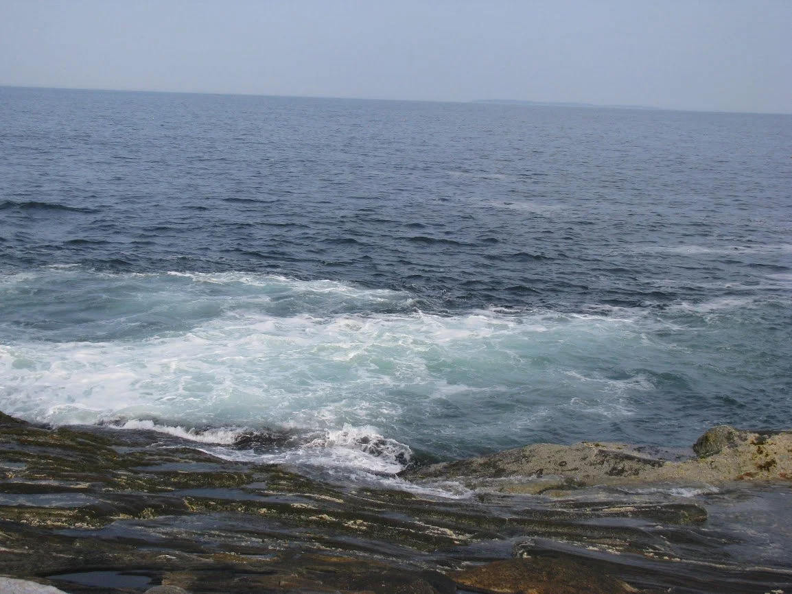 IMG_0056.jpg