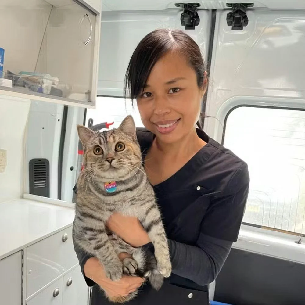 A woman holding a tabby cat inside a veterinary or animal care vehicle, with shelves and equipment in the background.