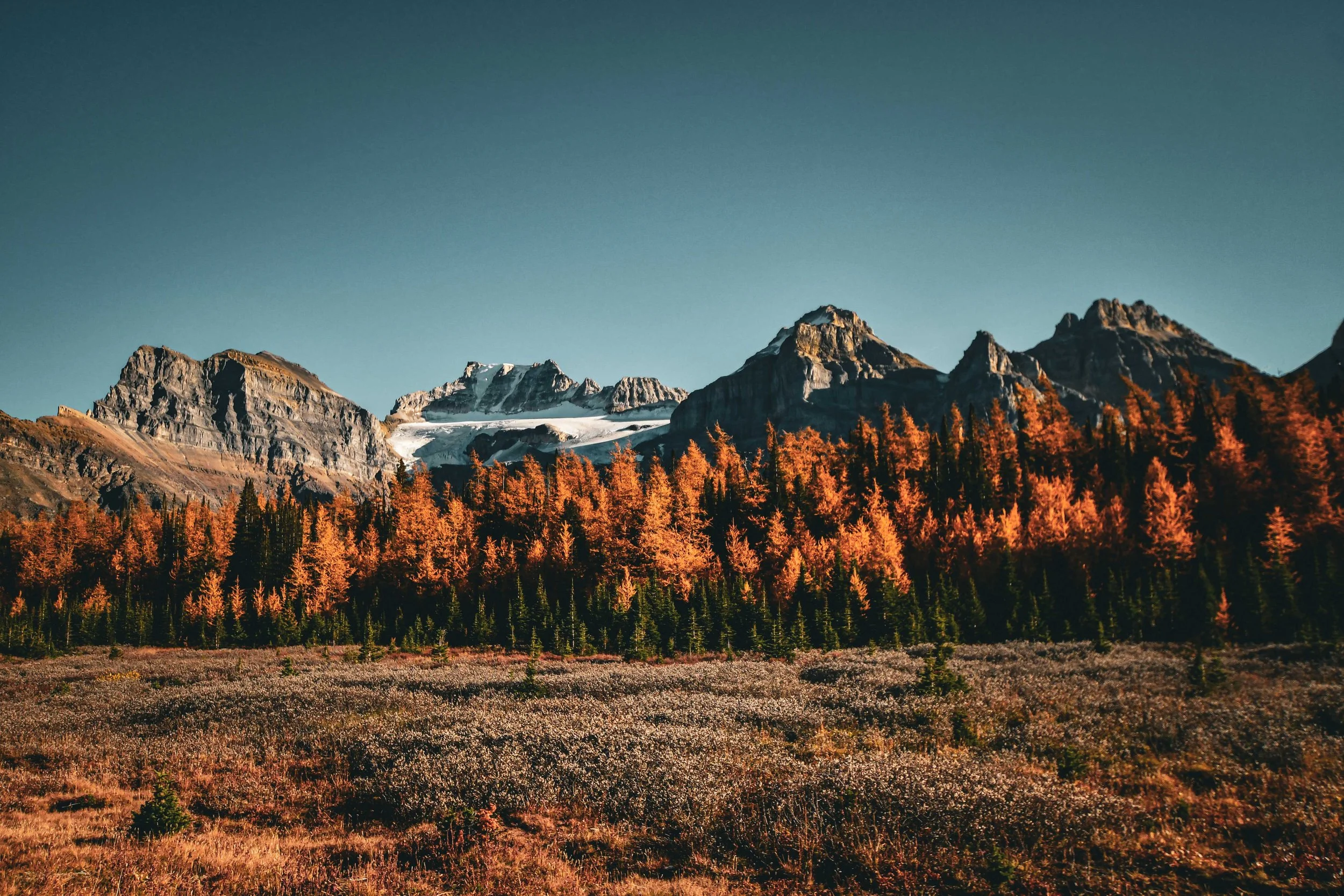 Mountain 1.jpg