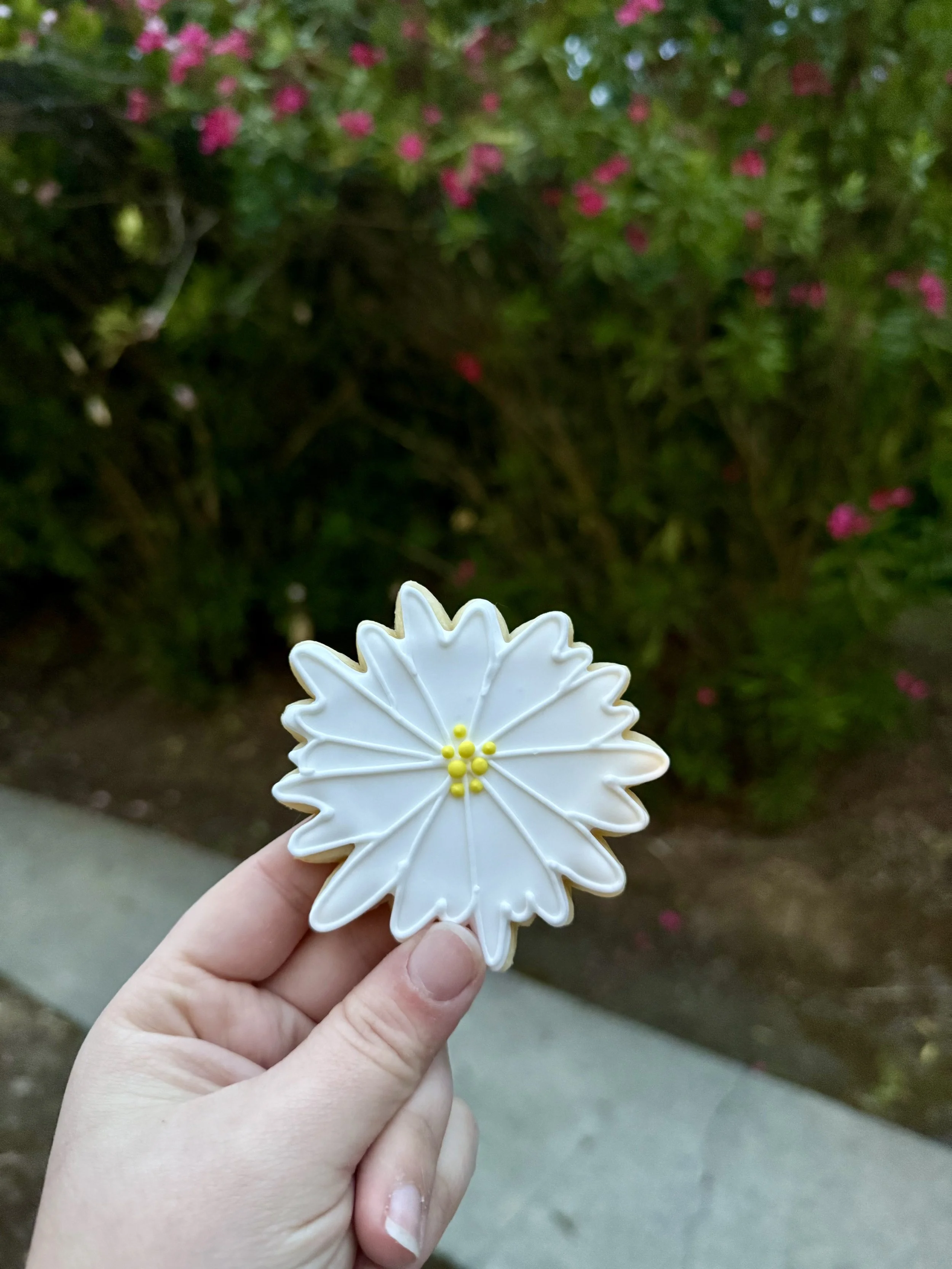 IMG_5823.jpeg