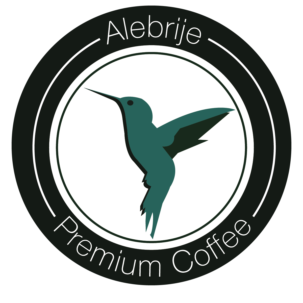 Vector Logo | 2023 | Illustrator