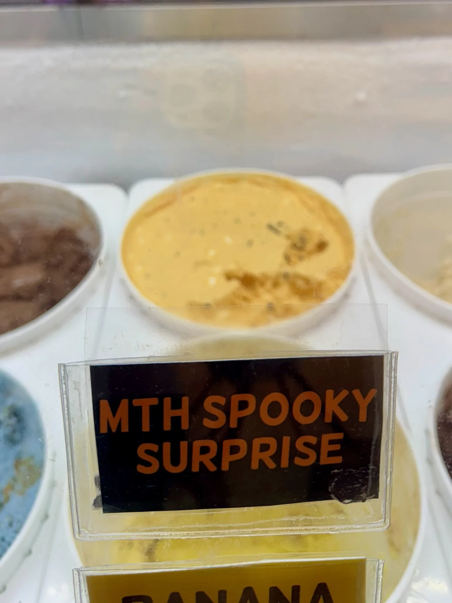 A Sweet Celebration: Our Smusht Ice Cream Event