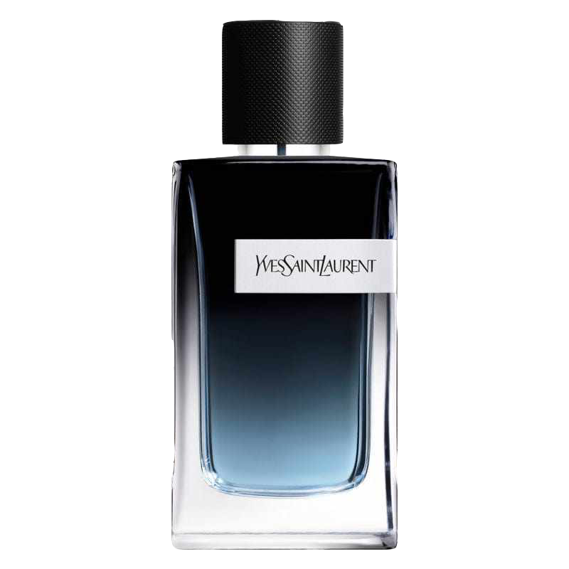 YSL Y